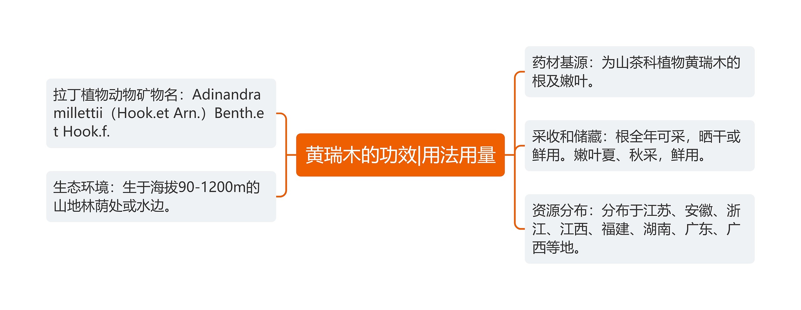 黄瑞木的功效|用法用量思维导图