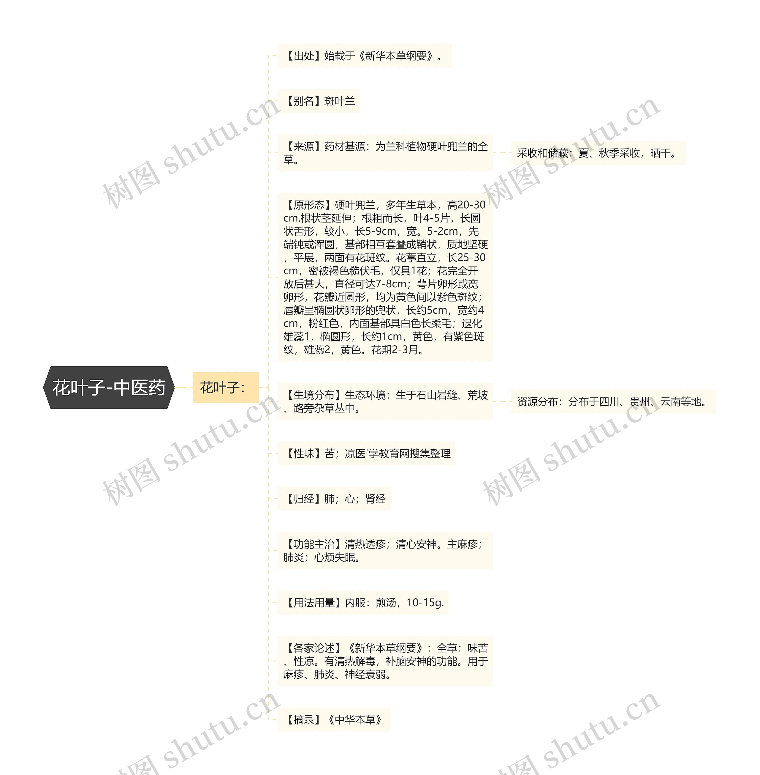 花叶子-中医药 花叶子-中医药