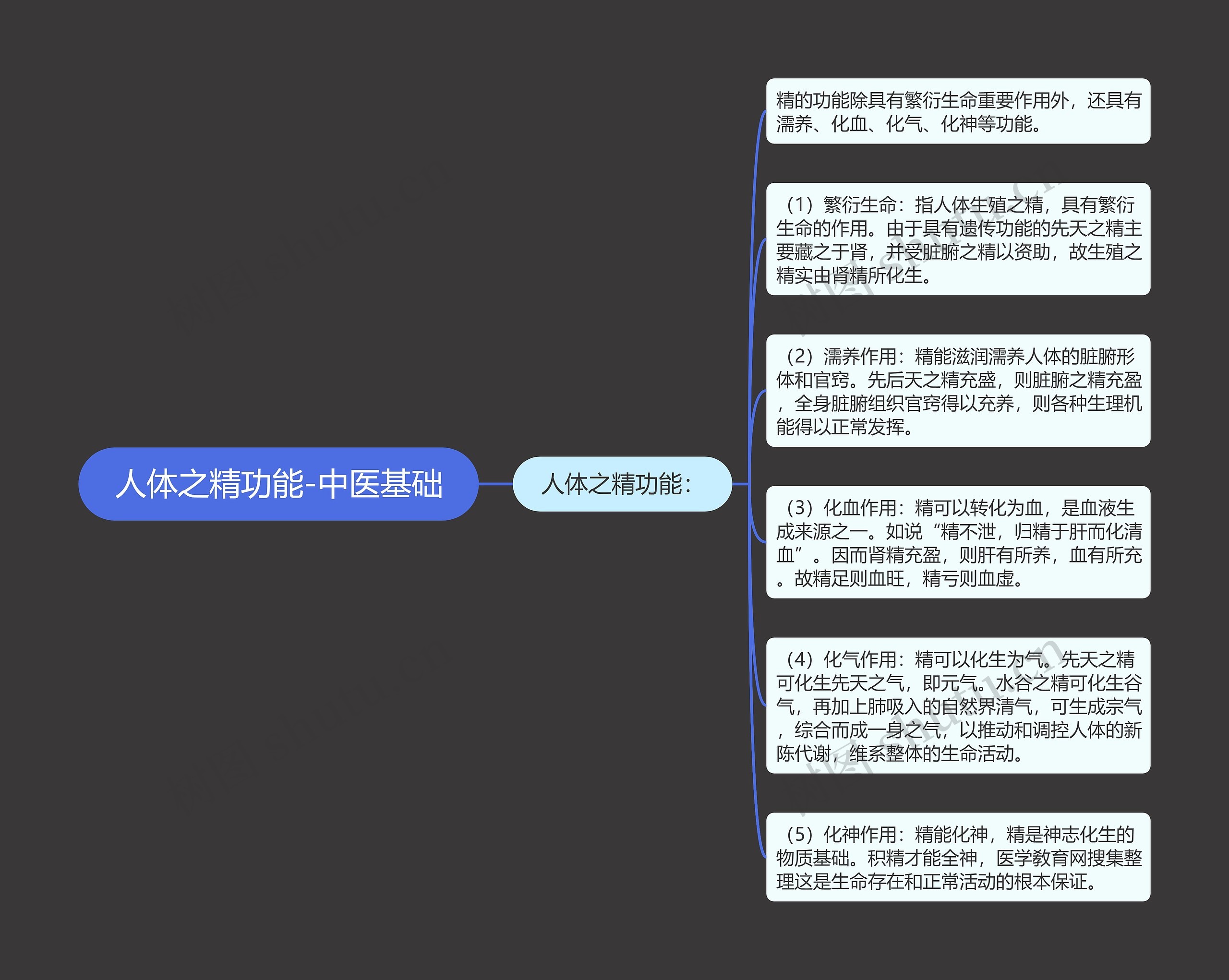 人体之精功能-中医基础思维导图