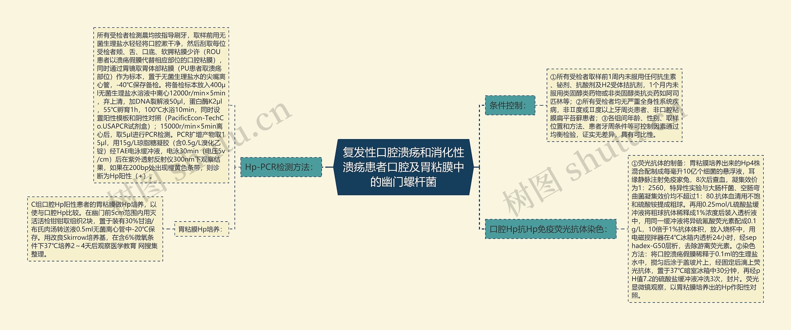 复发性口腔溃疡和消化性溃疡患者口腔及胃粘膜中的幽门螺杆菌思维导图