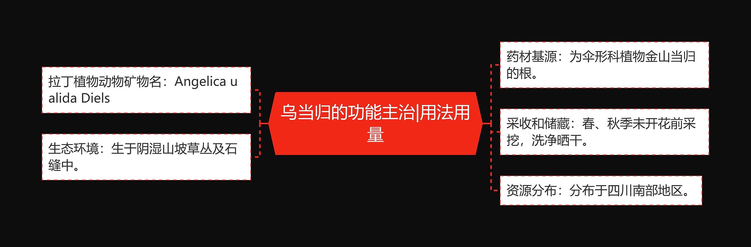 乌当归的功能主治|用法用量 乌当归的功能主治|用法用量