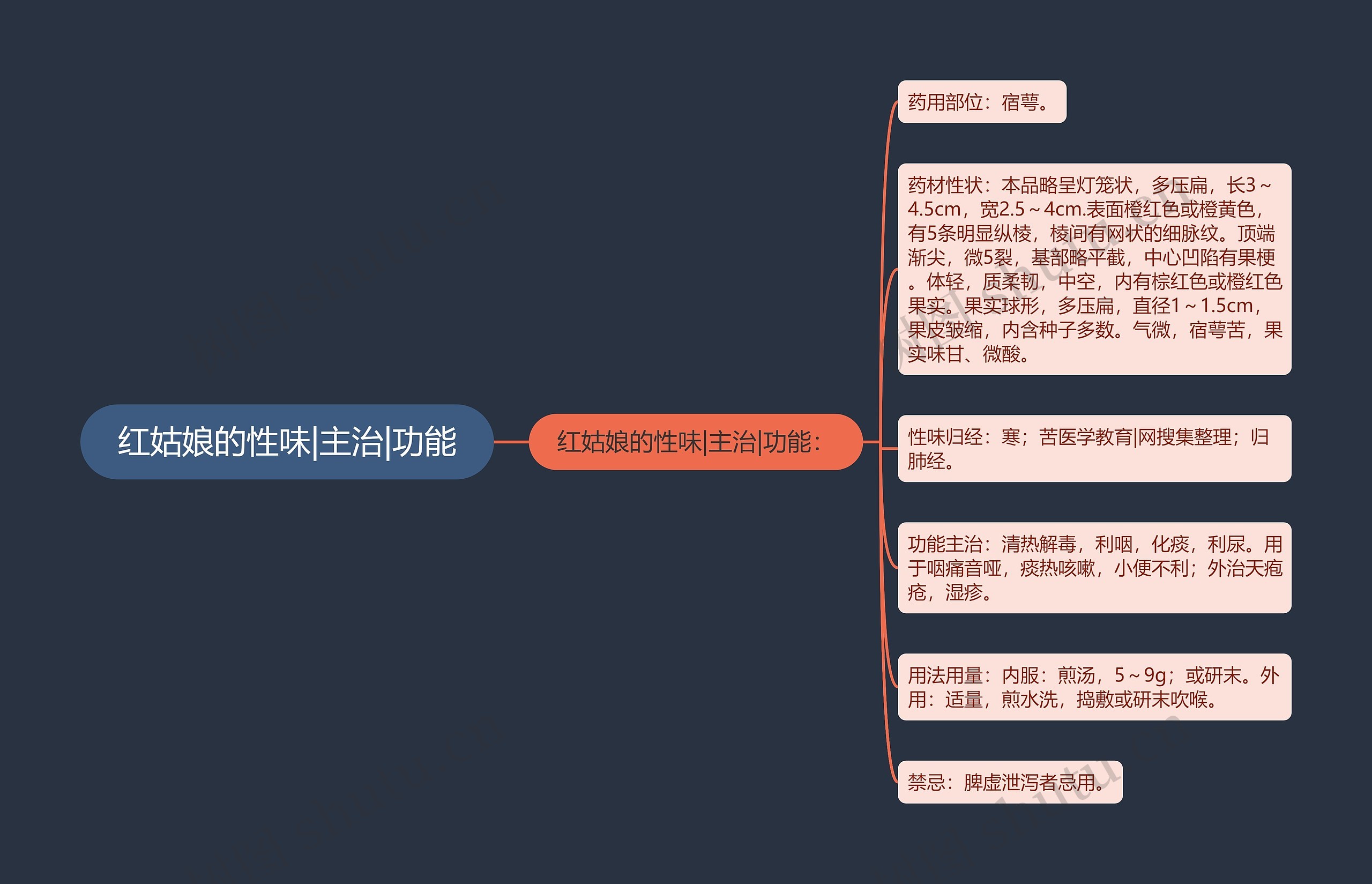 红姑娘的性味|主治|功能 红姑娘的性味|主治|功能