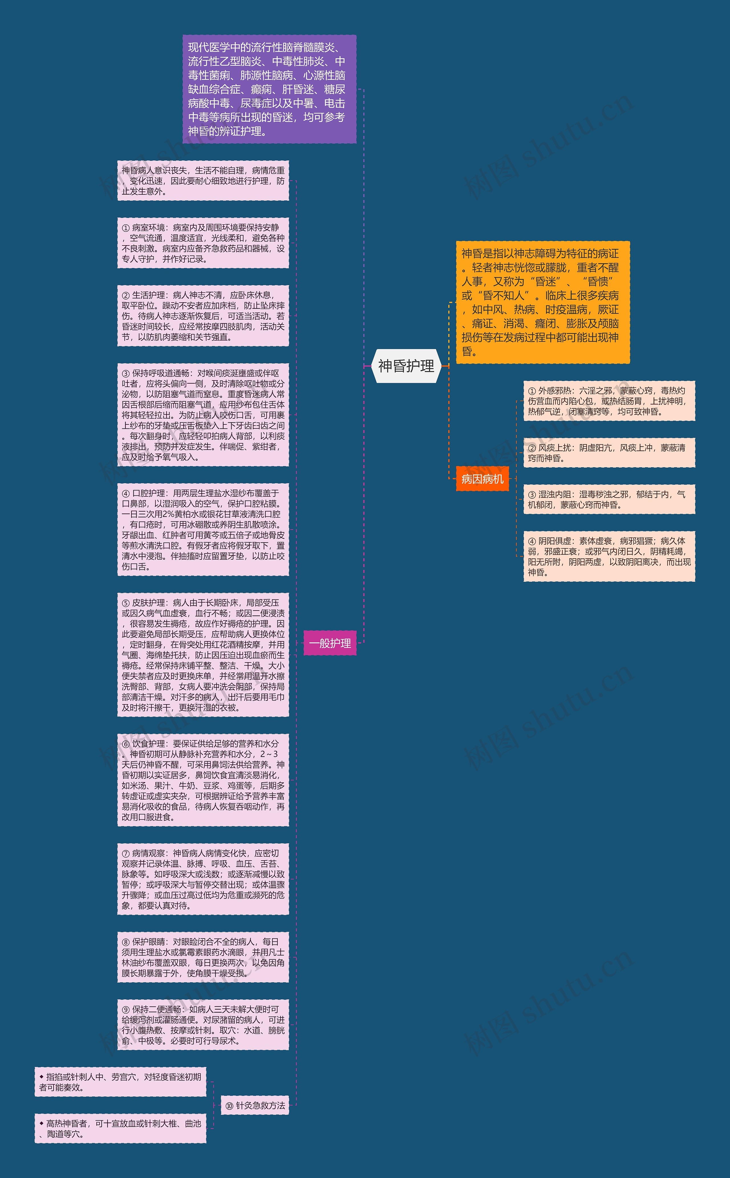 神昏护理思维导图