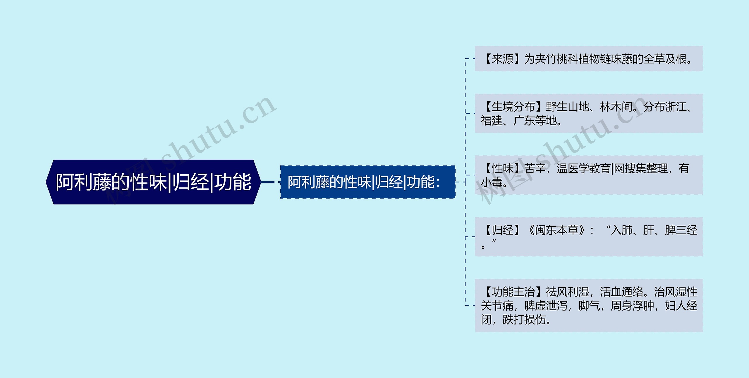 阿利藤的性味|归经|功能思维导图