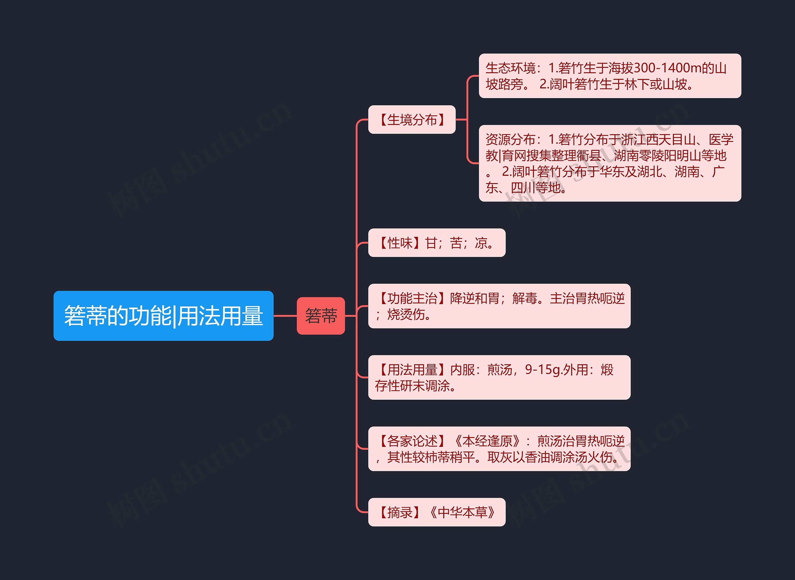 箬蒂的功能|用法用量思维导图