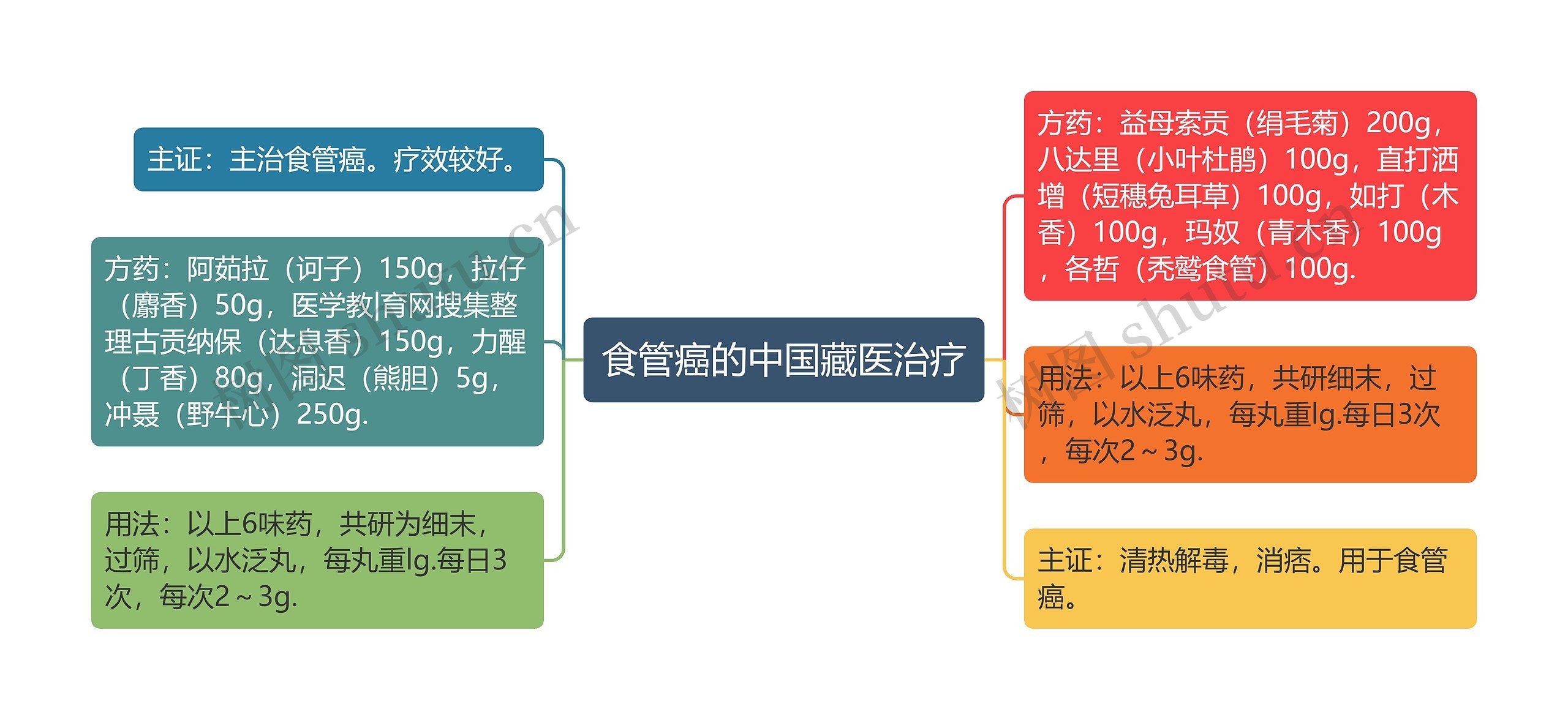 食管癌的中国藏医治疗思维导图