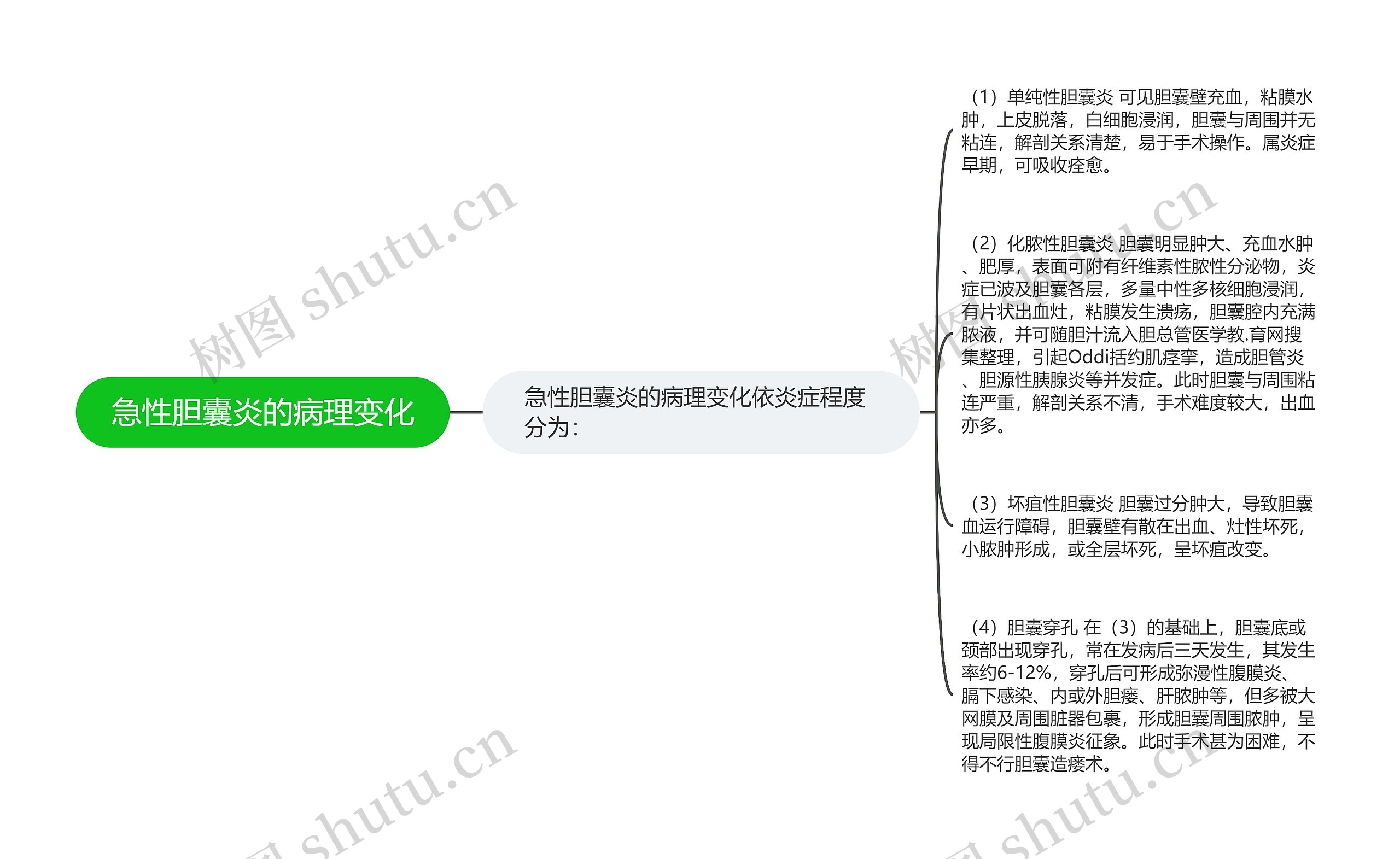 急性胆囊炎的病理变化思维导图