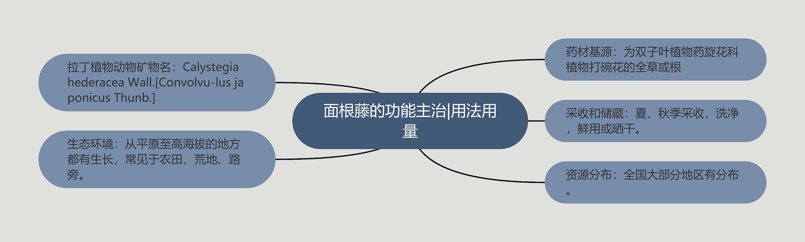 面根藤的功能主治|用法用量 面根藤的功能主治|用法用量