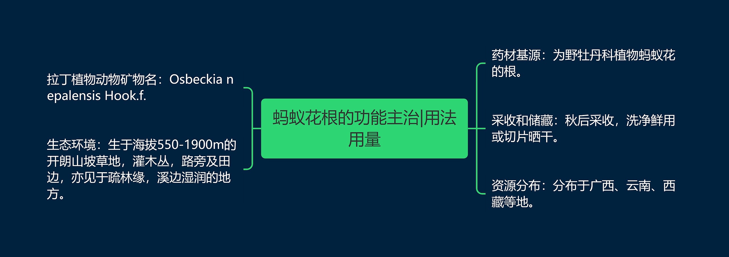 蚂蚁花根的功能主治|用法用量 蚂蚁花根的功能主治|用法用量