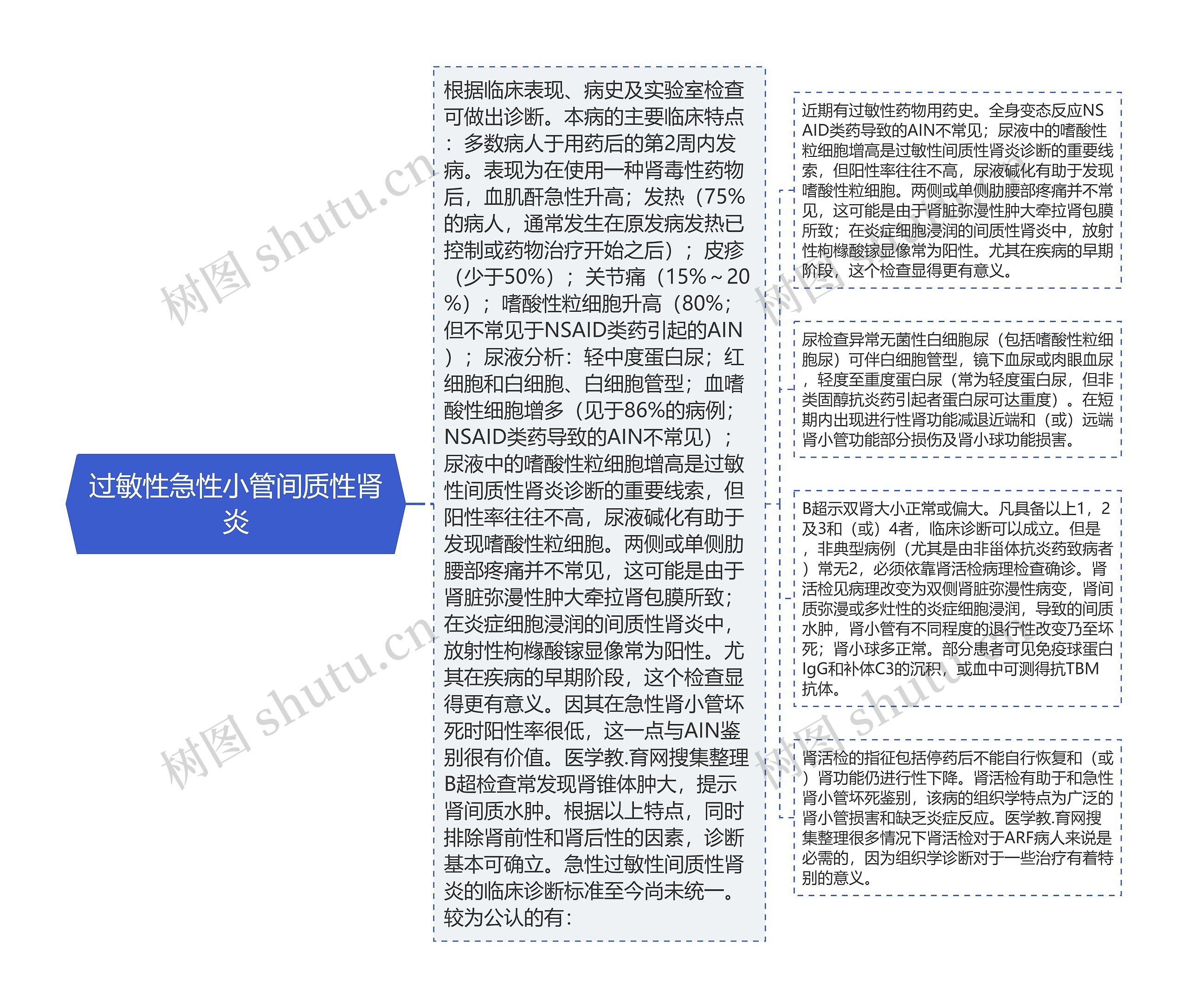 过敏性急性小管间质性肾炎思维导图