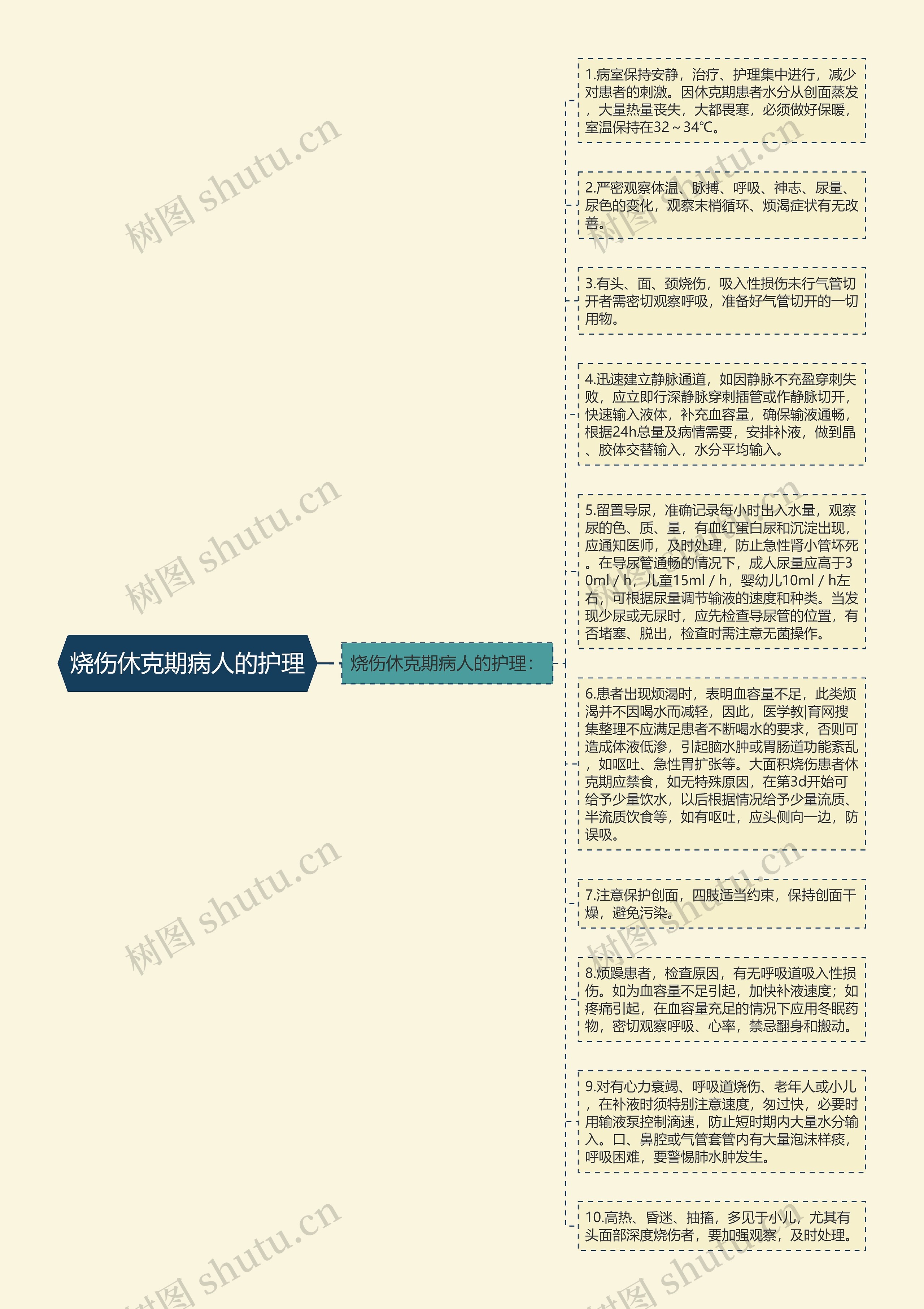 烧伤休克期病人的护理思维导图