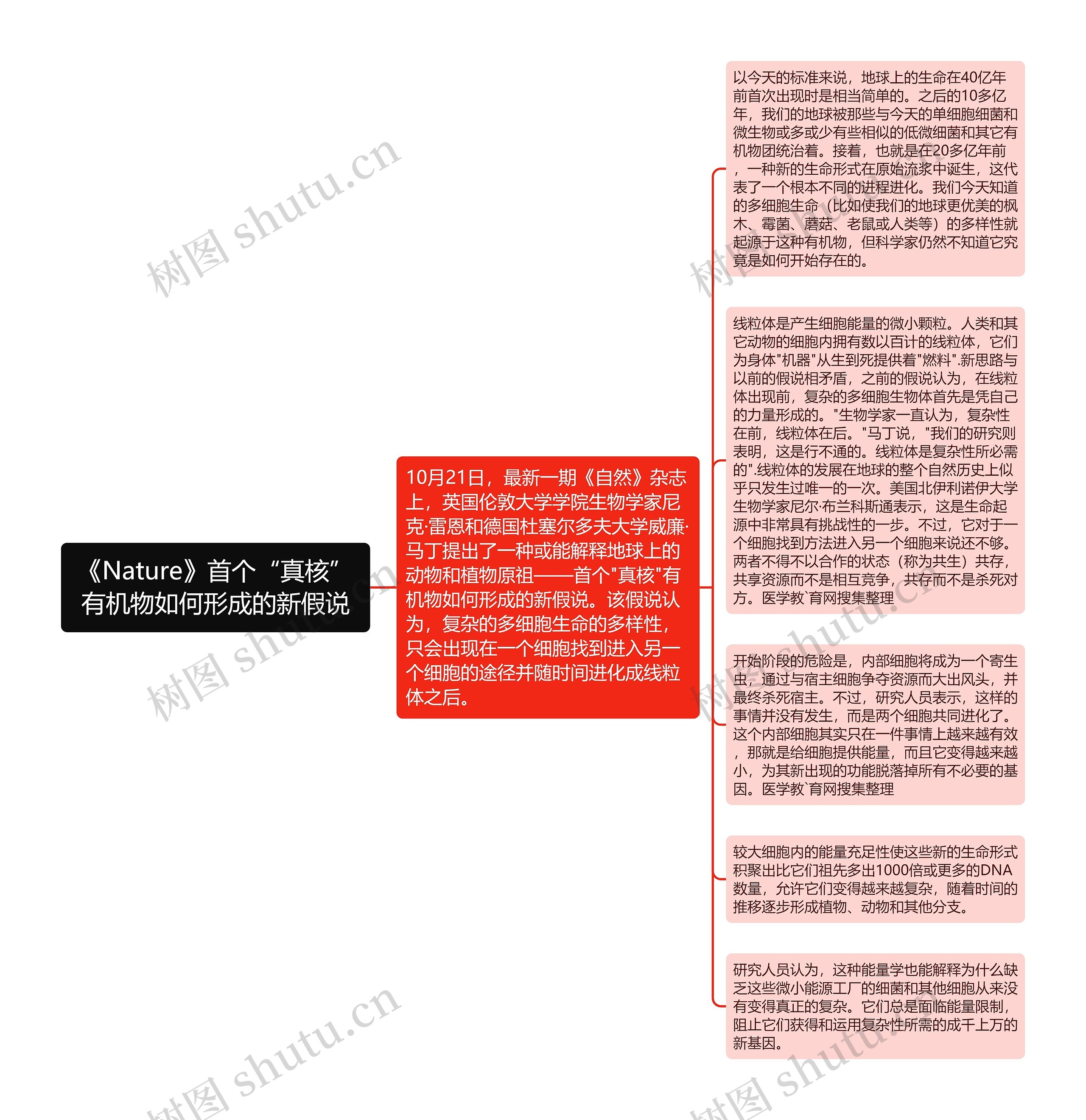 《Nature》首个“真核”有机物如何形成的新假说