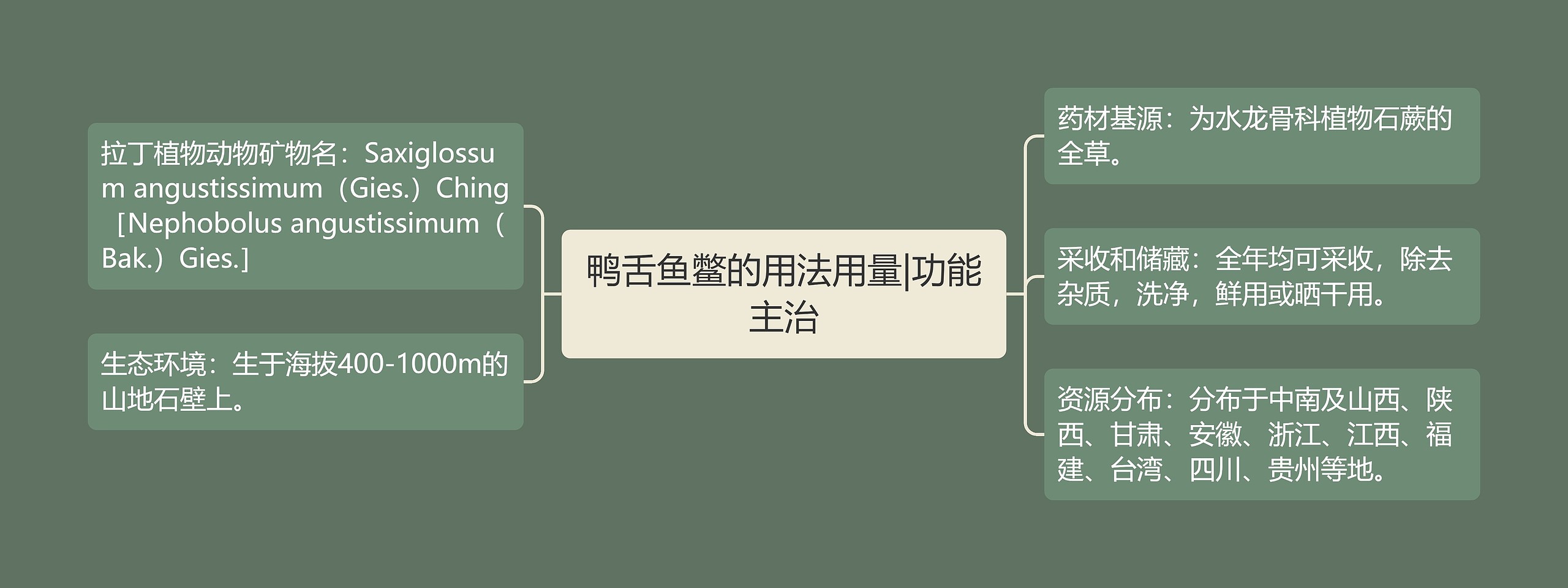 鸭舌鱼鳖的用法用量|功能主治思维导图