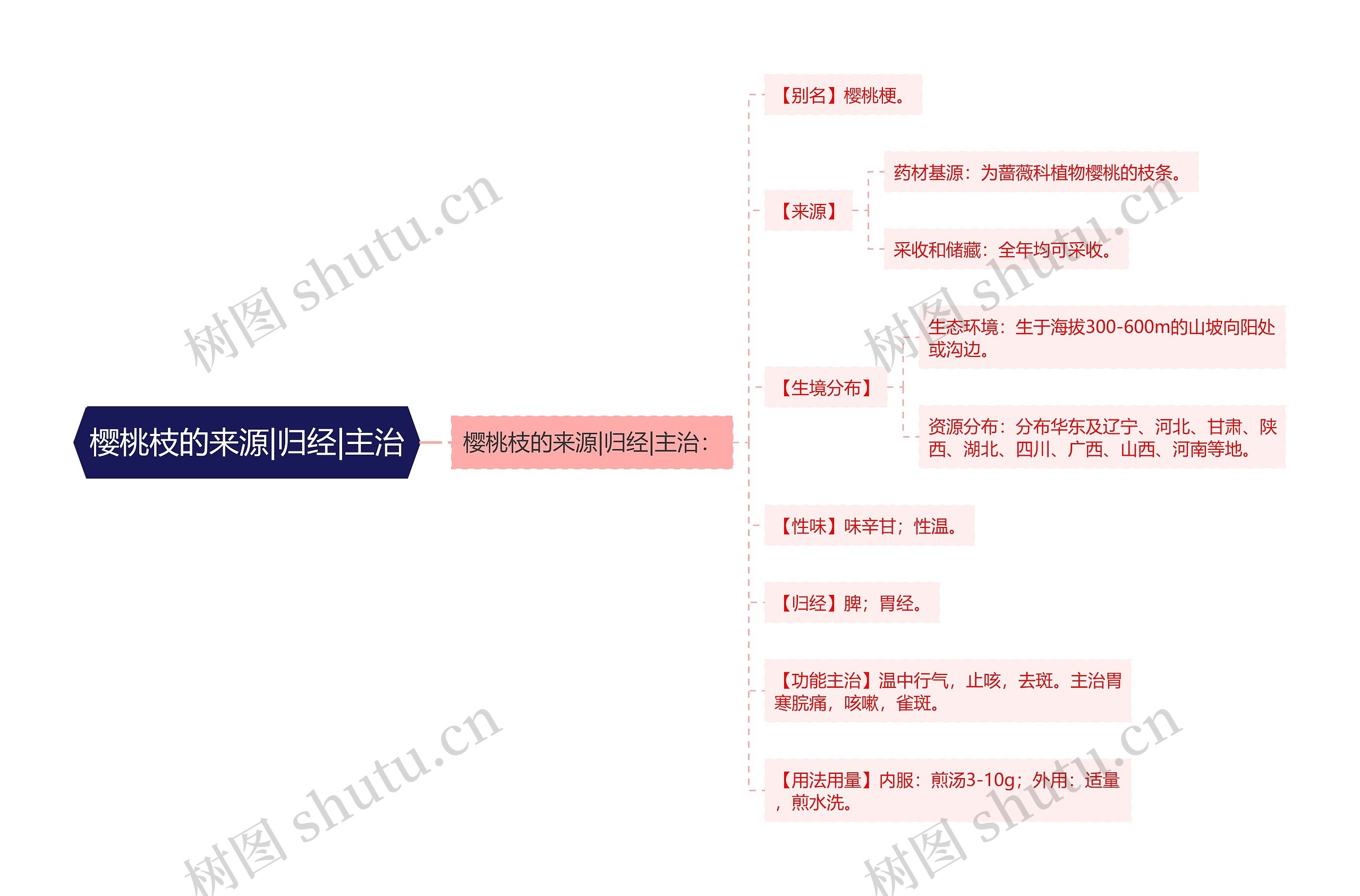 樱桃枝的来源|归经|主治 樱桃枝的来源|归经|主治