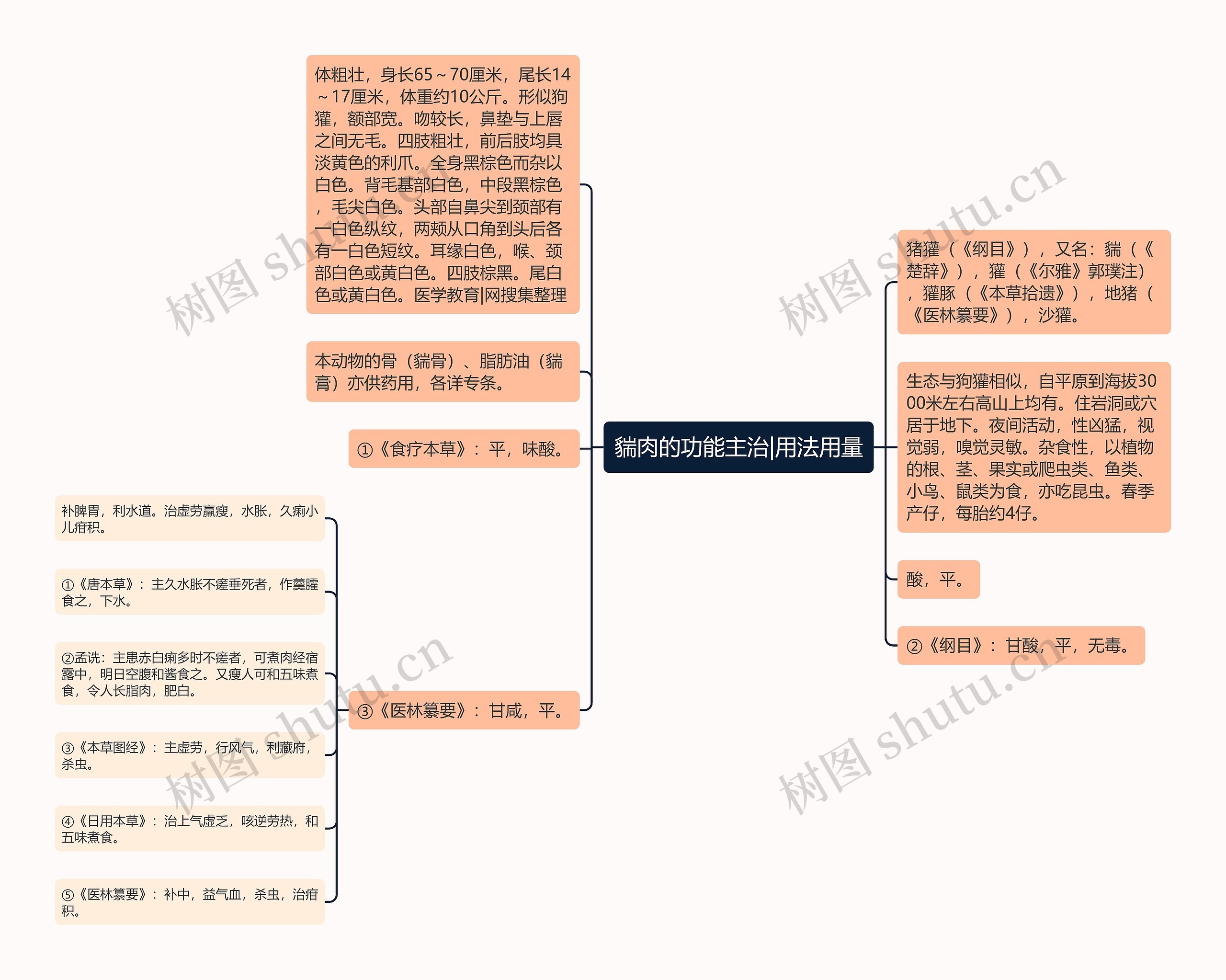 貒肉的功能主治|用法用量 貒肉的功能主治|用法用量