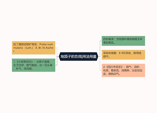 地茄子的功效|用法用量