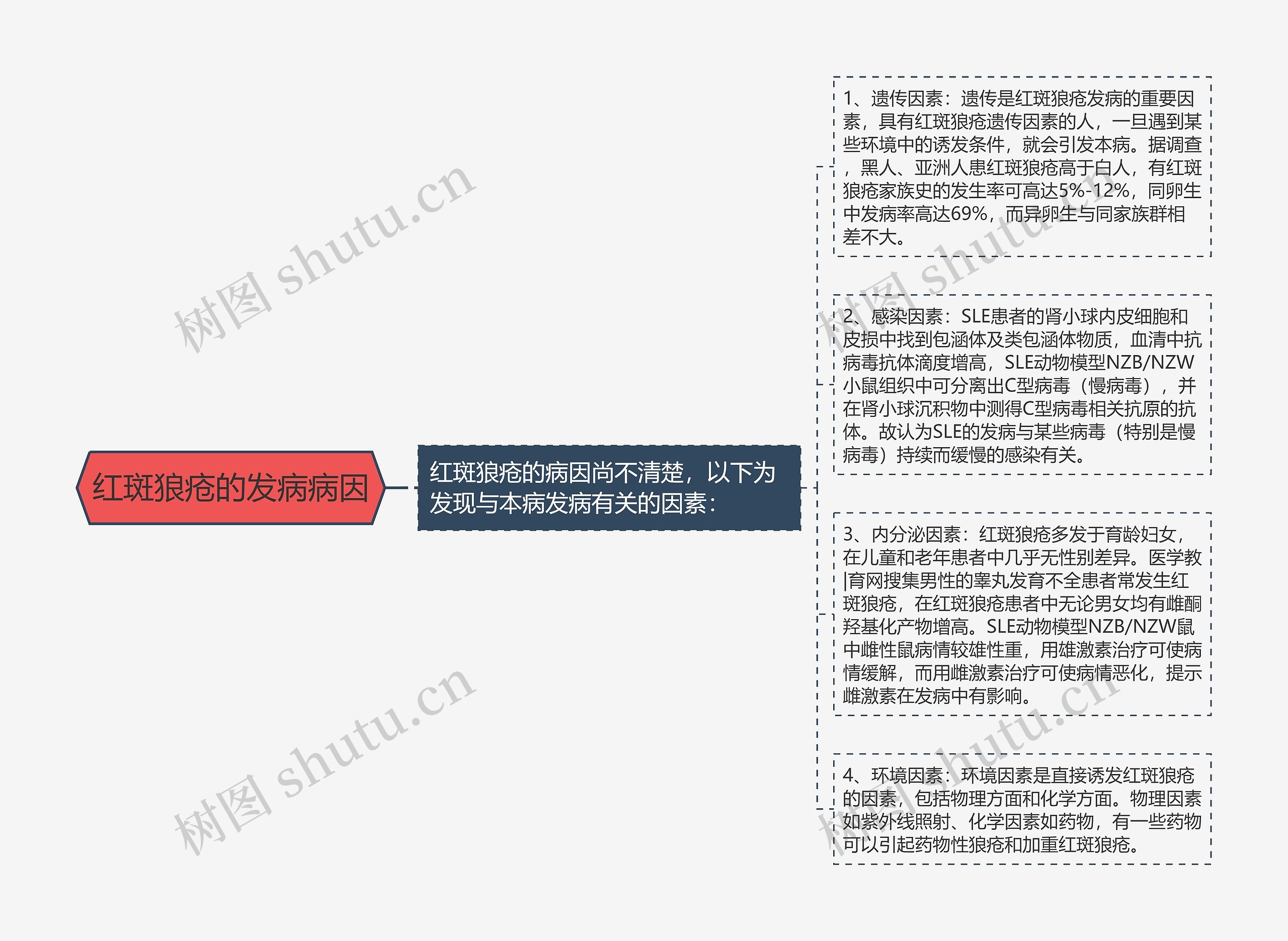 红斑狼疮的发病病因