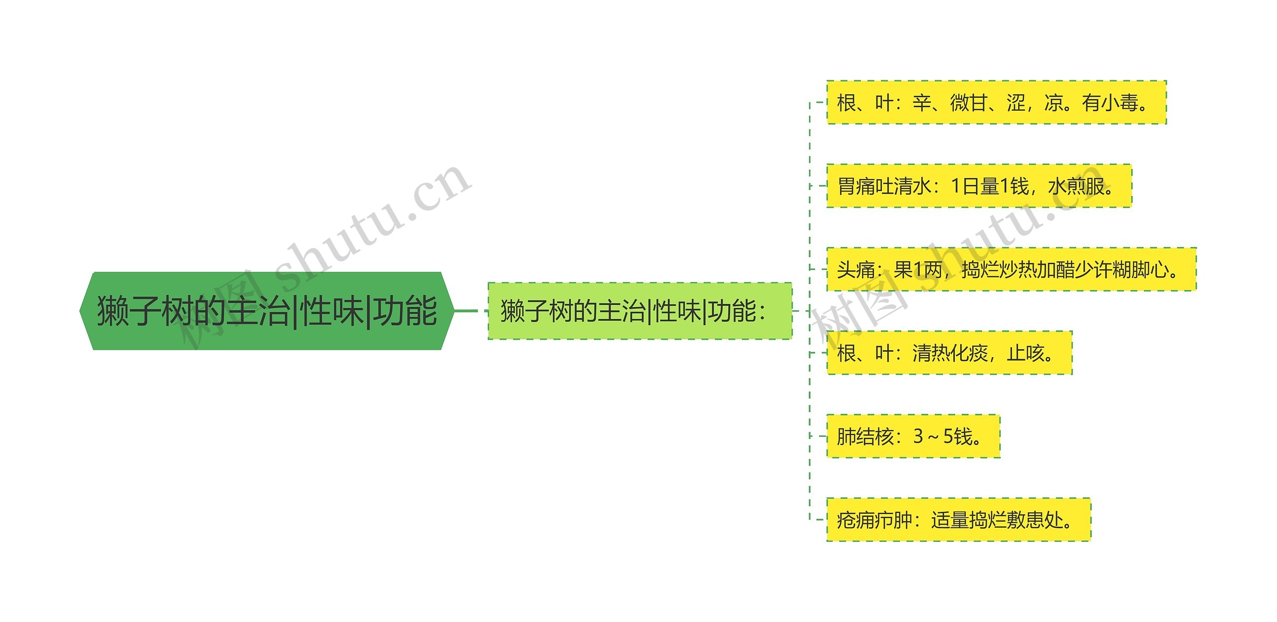 獭子树的主治|性味|功能思维导图