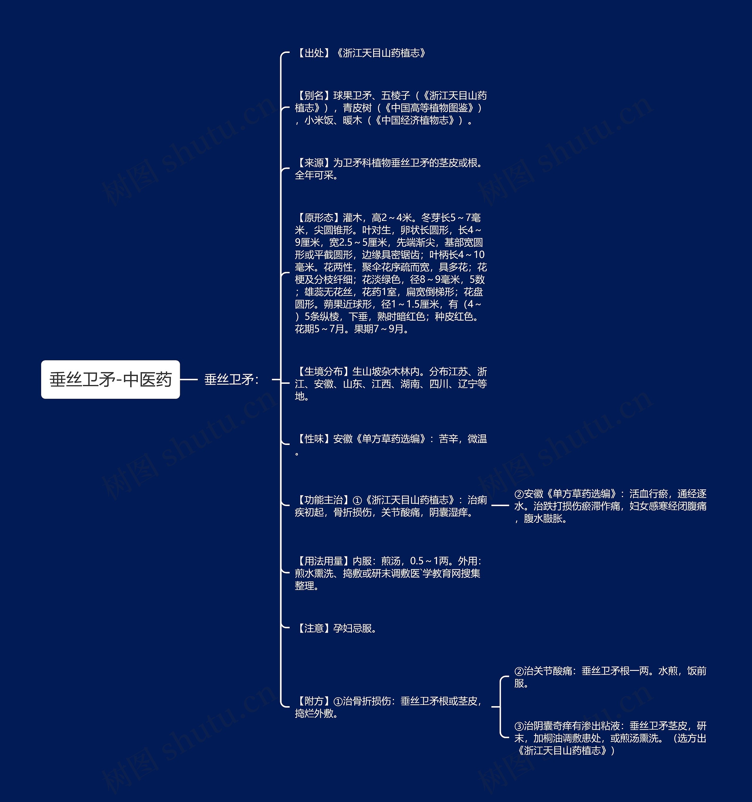 垂丝卫矛-中医药思维导图