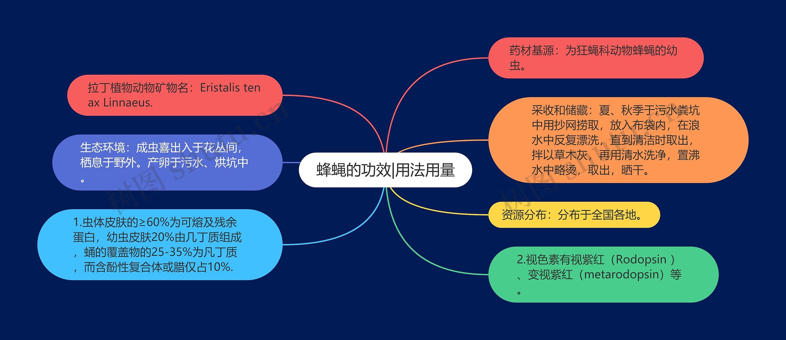 蜂蝇的功效|用法用量 蜂蝇的功效|用法用量