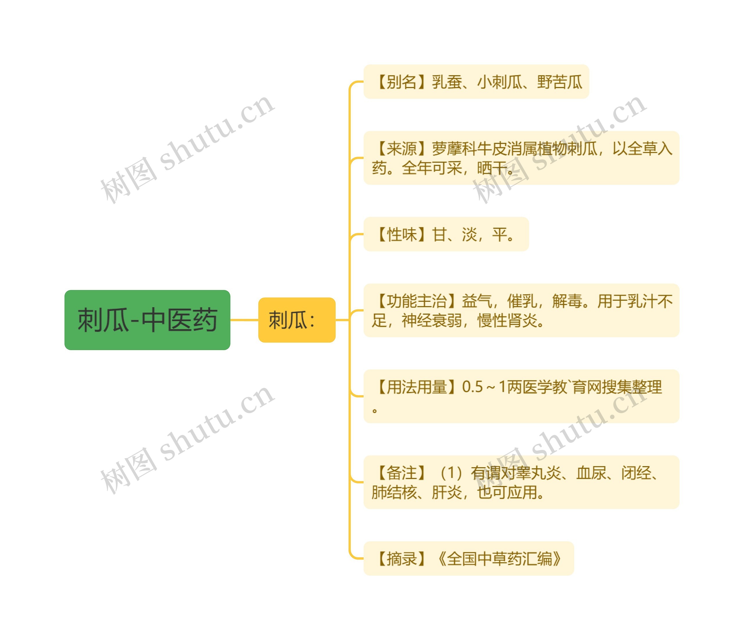 刺瓜-中医药思维导图