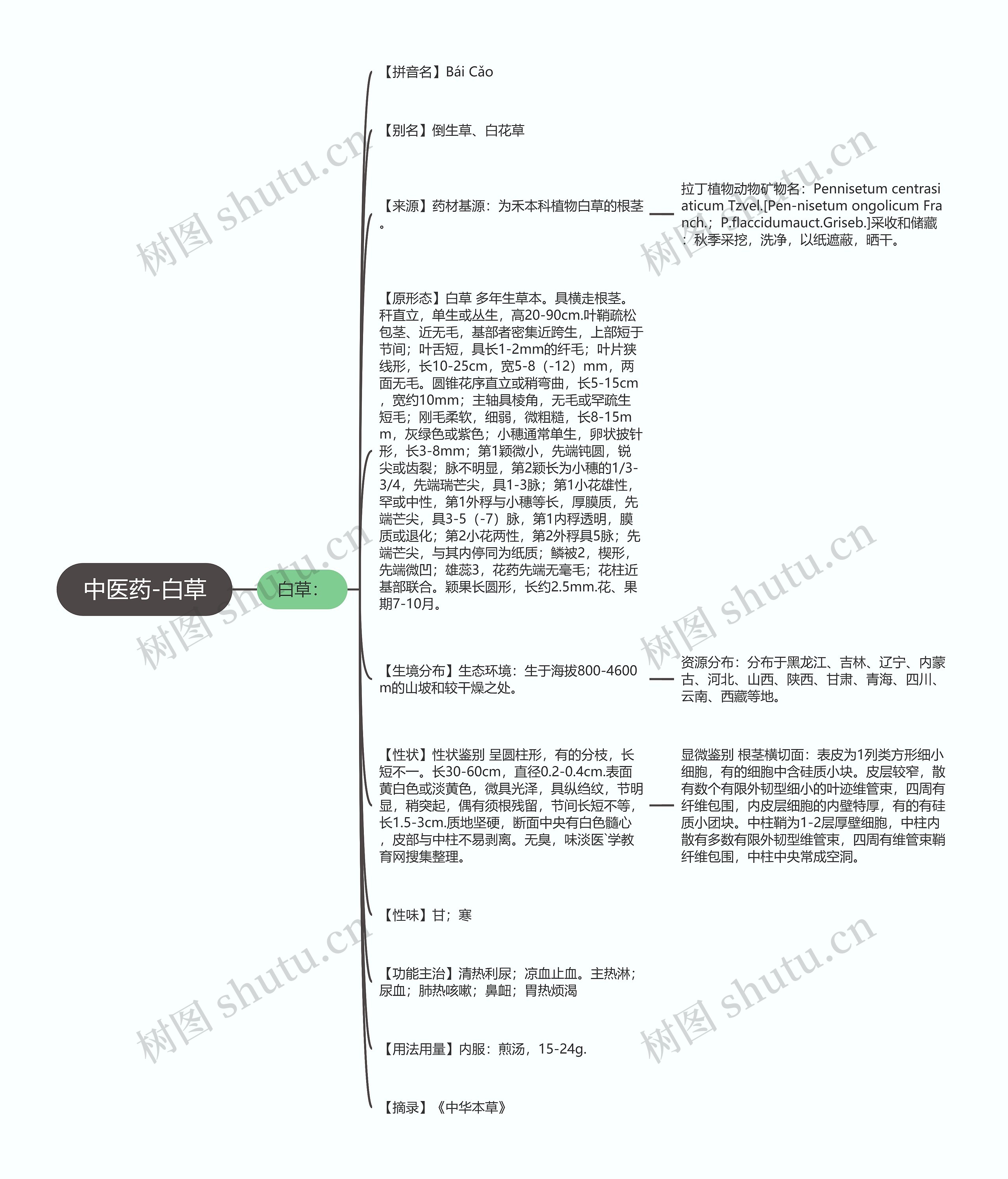 中医药-白草思维导图