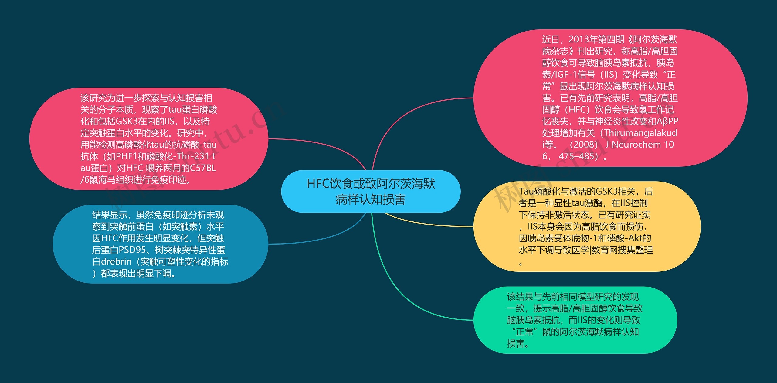 HFC饮食或致阿尔茨海默病样认知损害思维导图