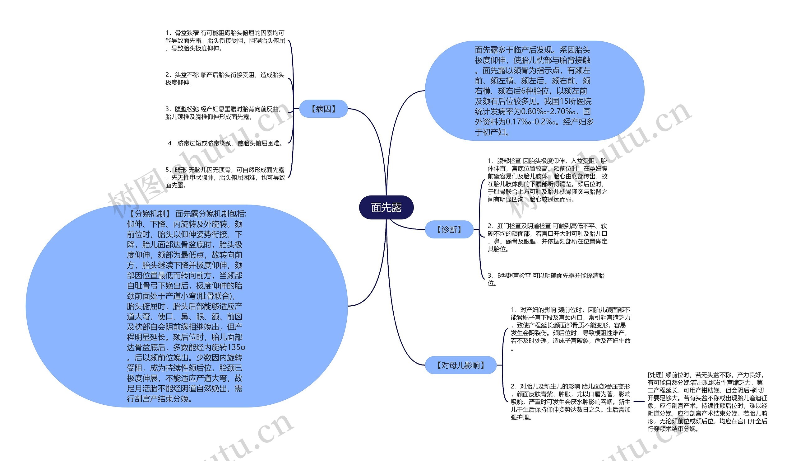 面先露思维导图