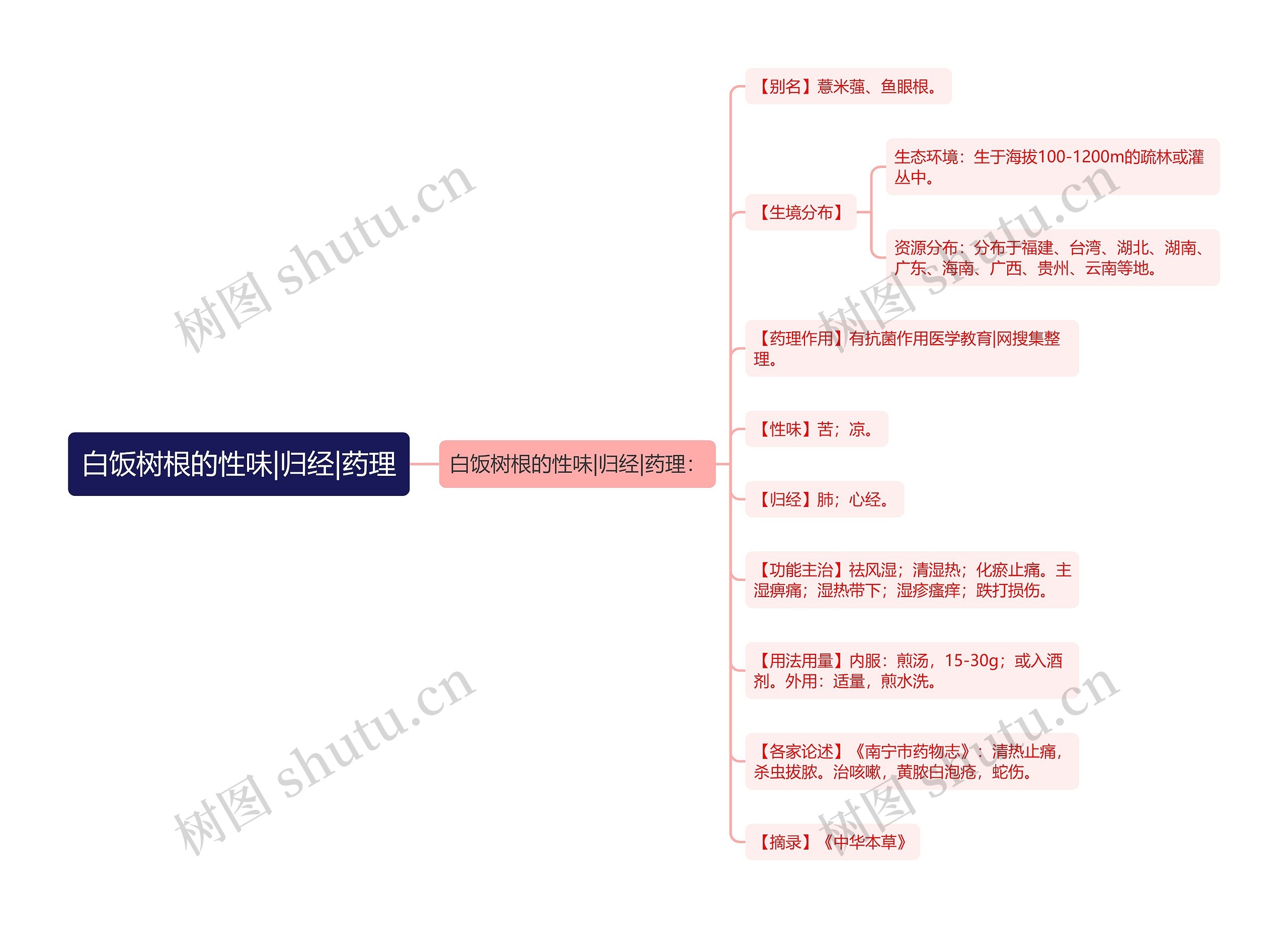 白饭树根的性味|归经|药理思维导图