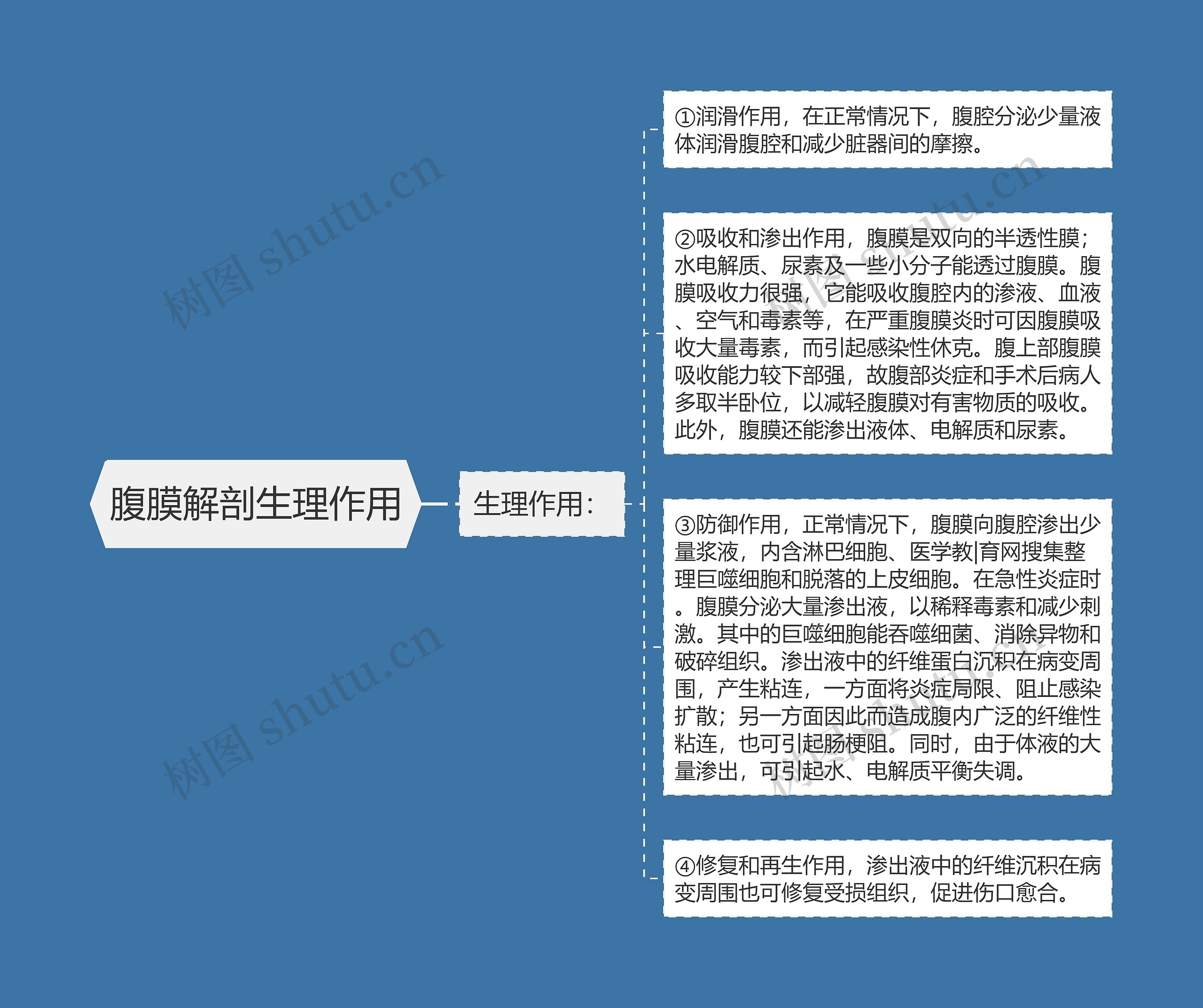 腹膜解剖生理作用思维导图