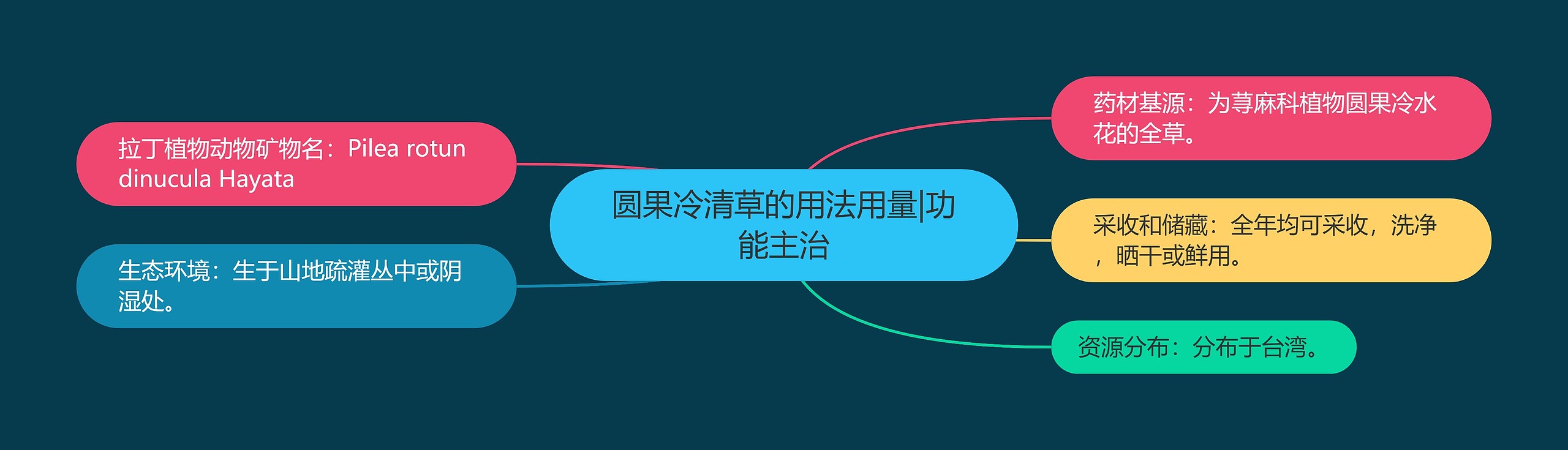 圆果冷清草的用法用量|功能主治 圆果冷清草的用法用量|功能主治