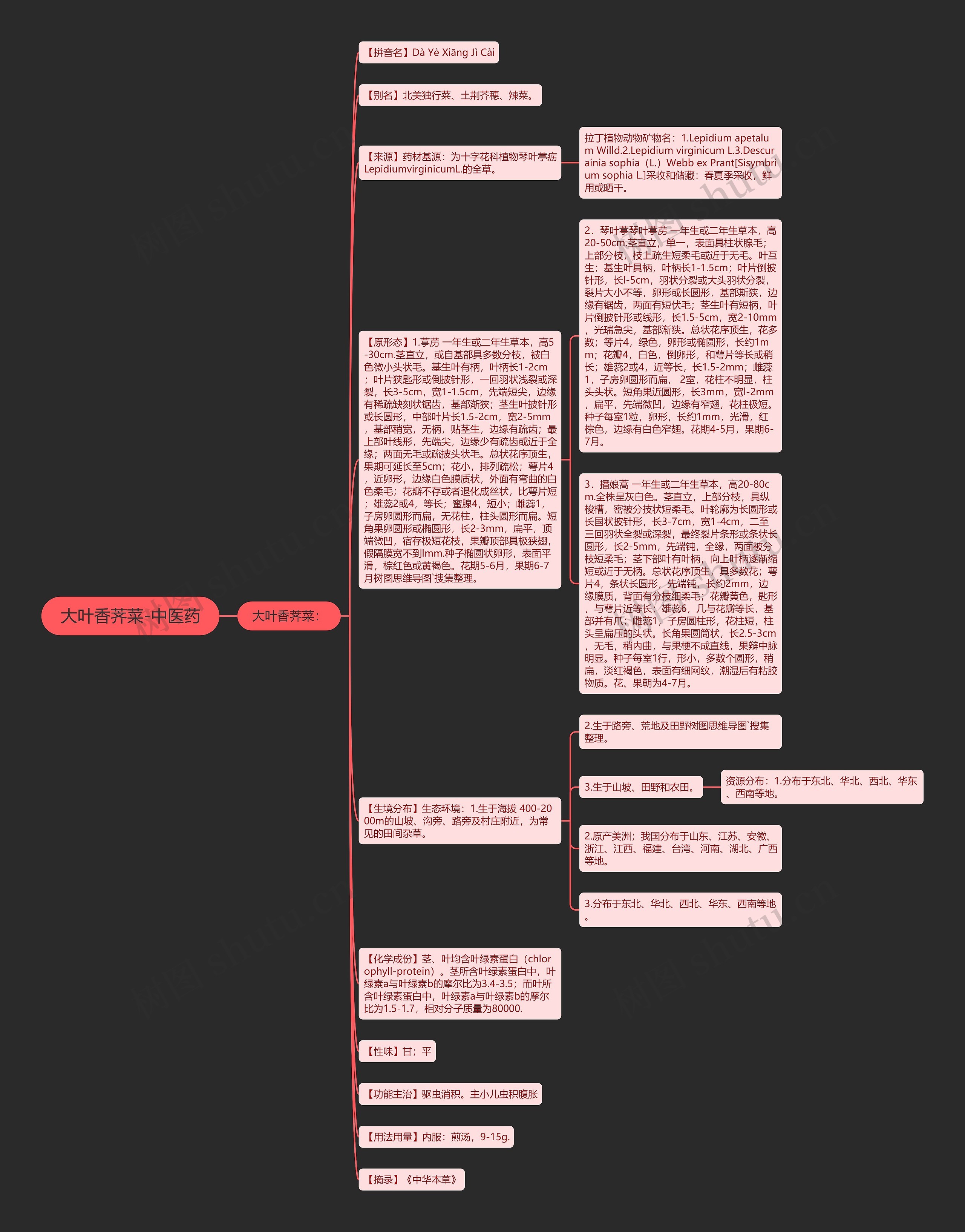 大叶香荠菜-中医药思维导图