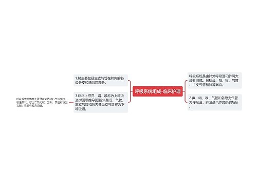 呼吸系统组成-临床护理