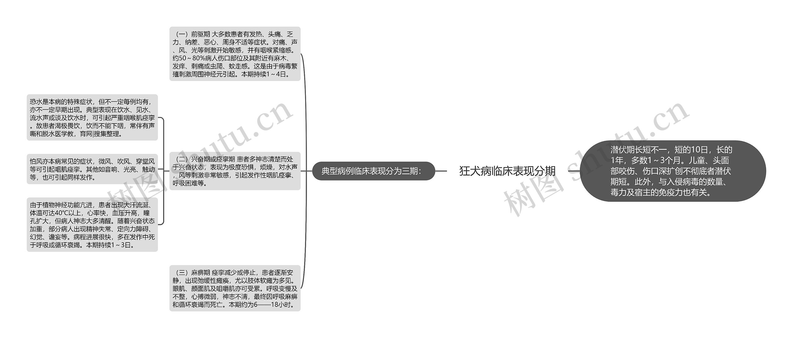 狂犬病临床表现分期思维导图