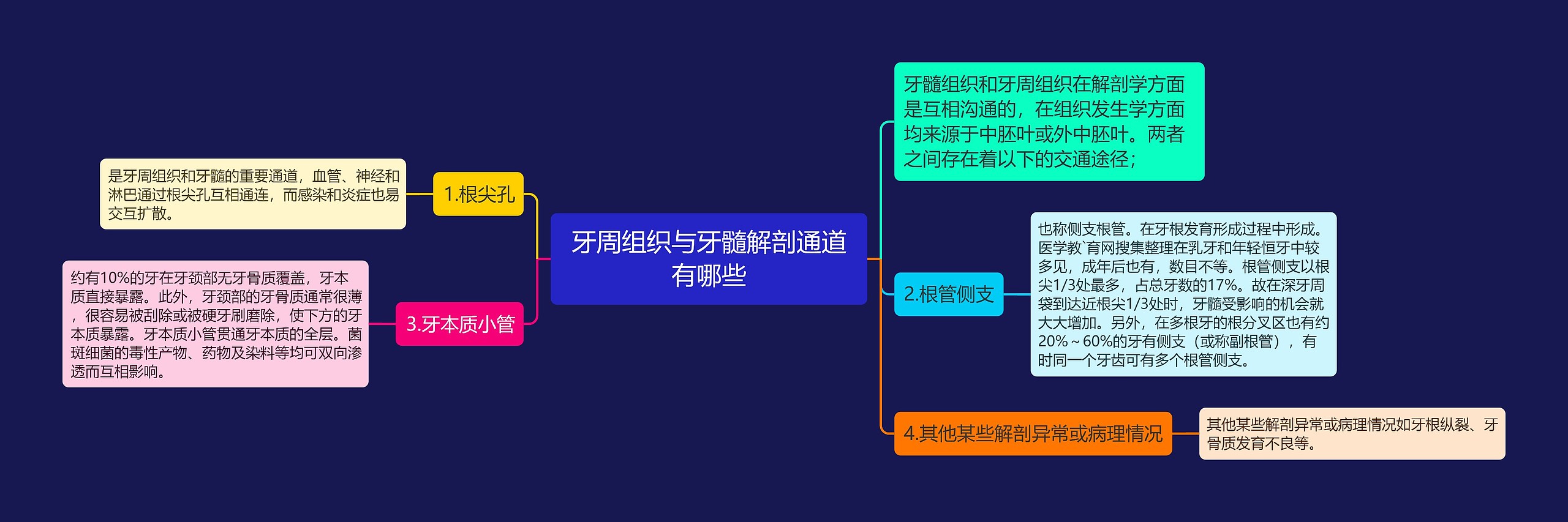 牙周组织与牙髓解剖通道有哪些 牙周组织与牙髓解剖通道有哪些