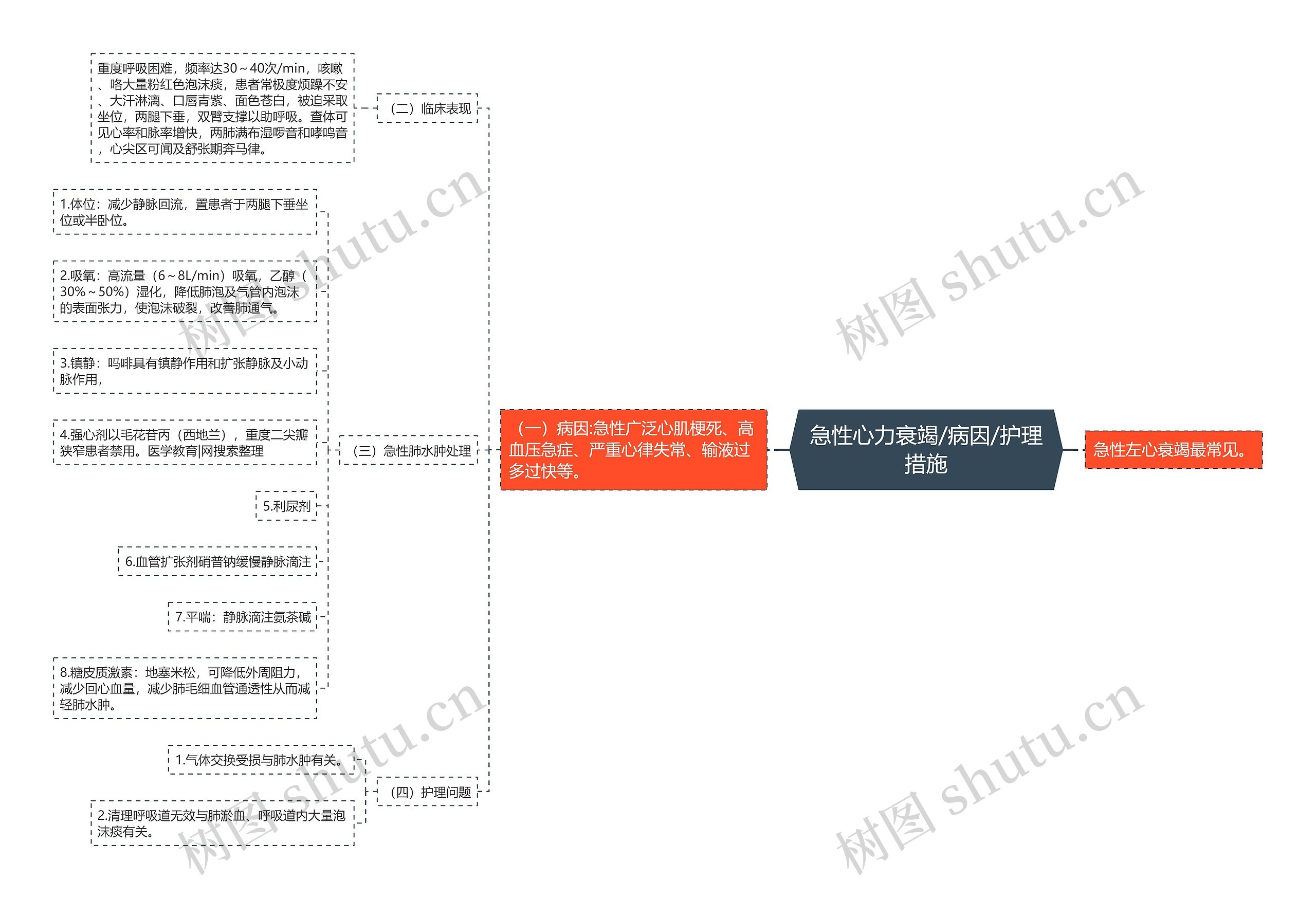 急性心力衰竭/病因/护理措施 急性心力衰竭/病因/护理措施