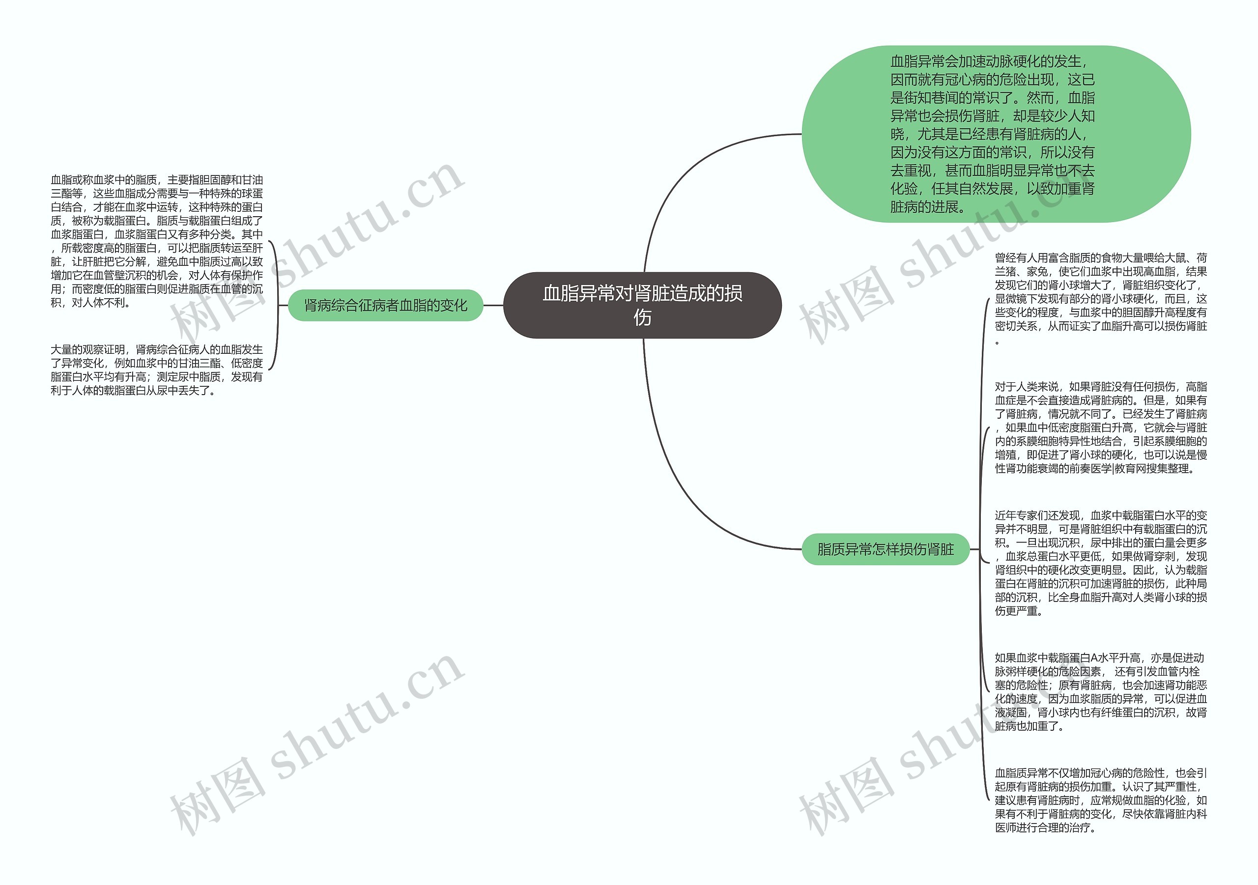 血脂异常对肾脏造成的损伤