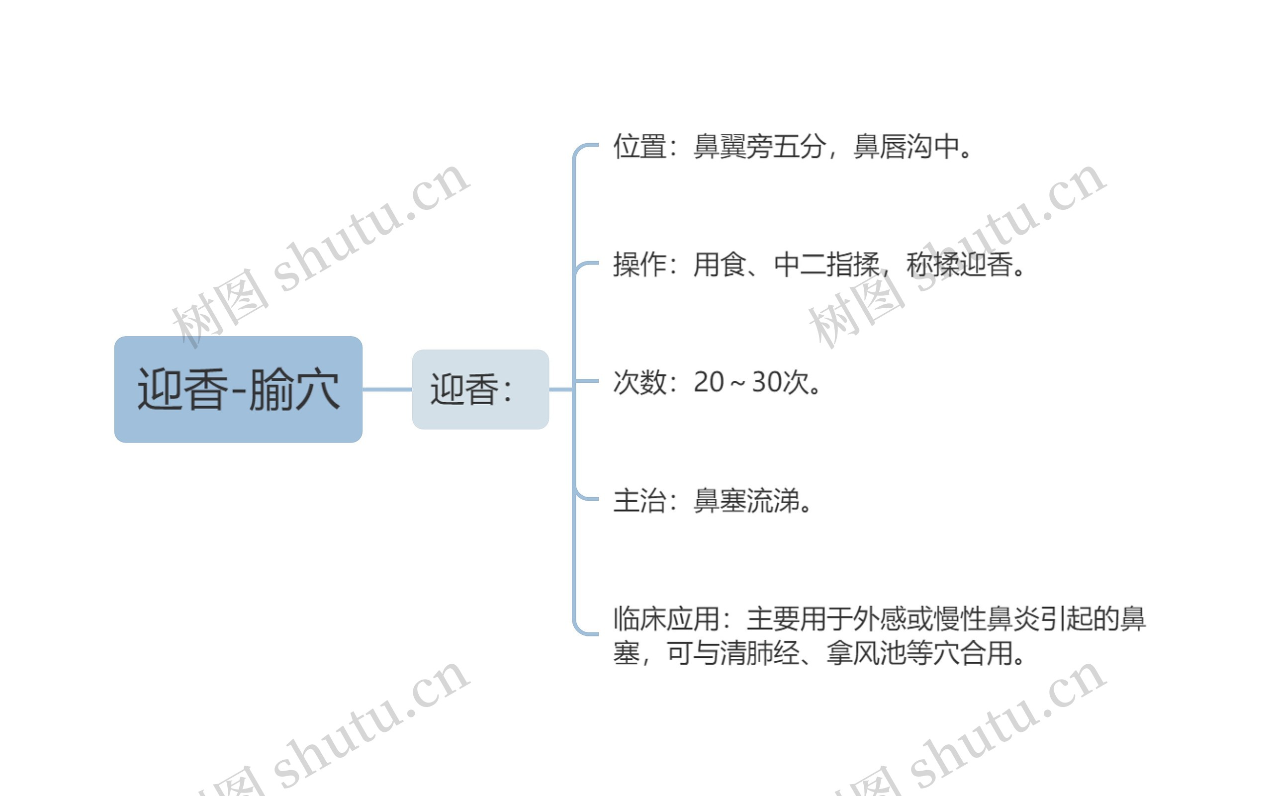 迎香-腧穴