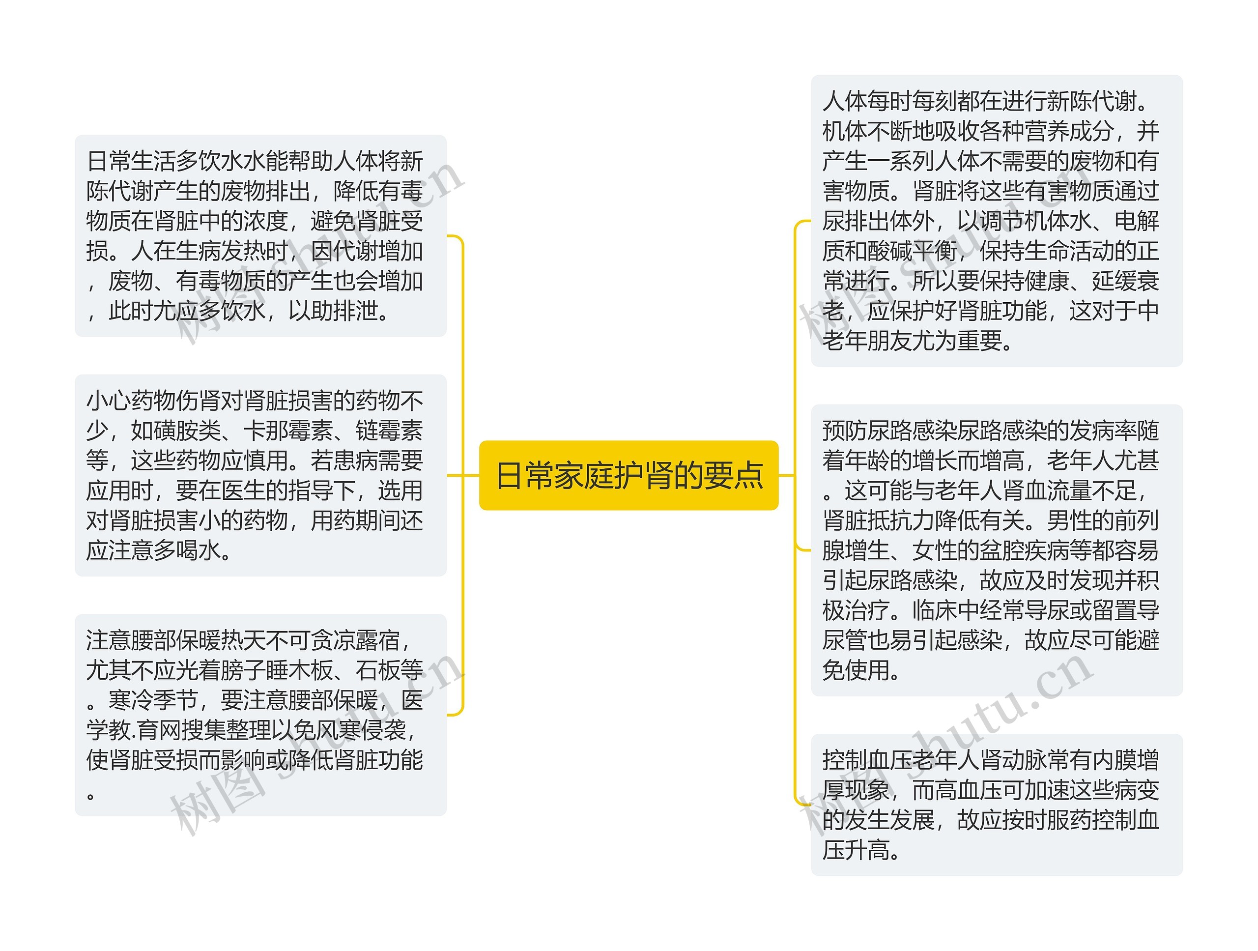 日常家庭护肾的要点思维导图