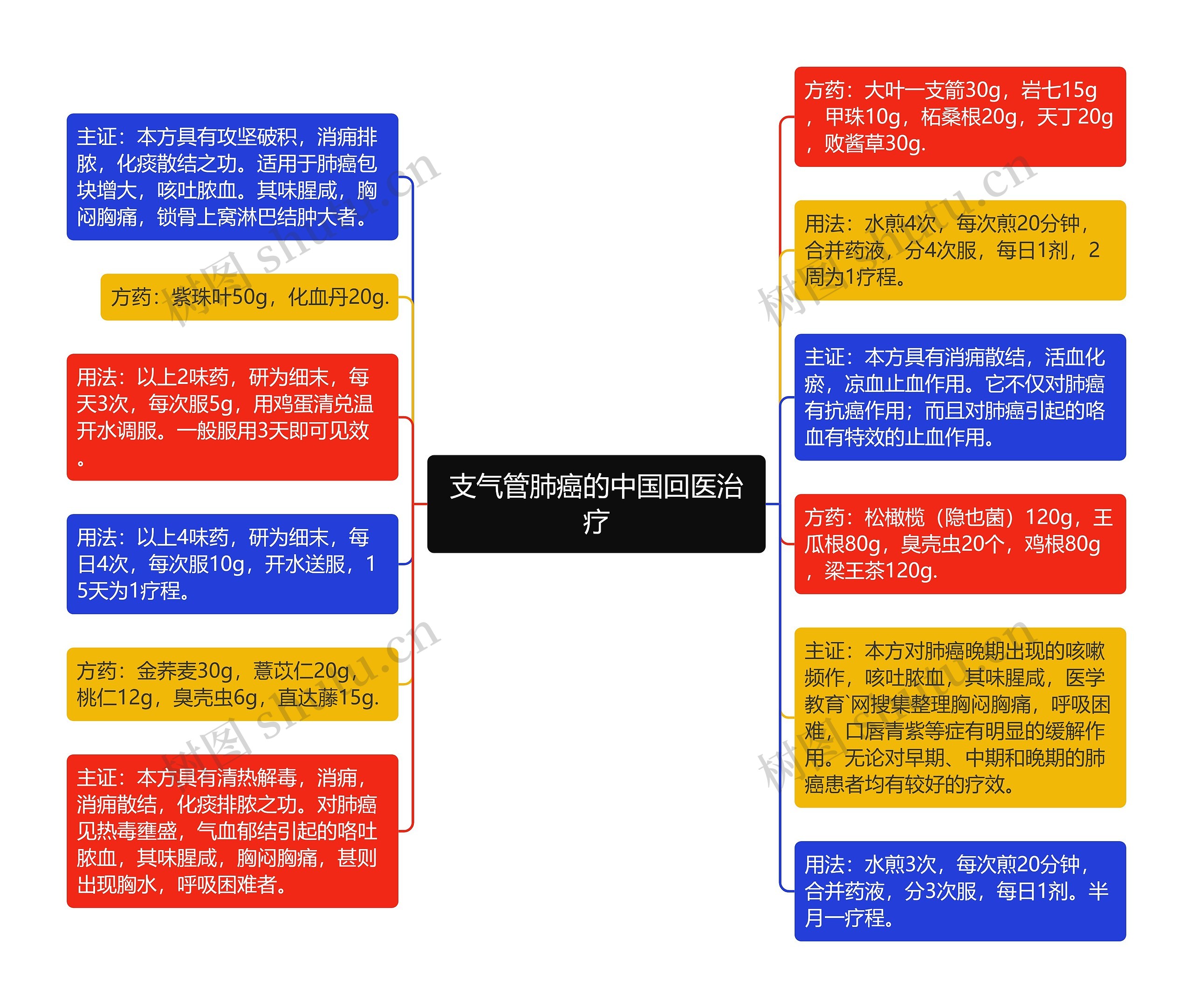 支气管肺癌的中国回医治疗