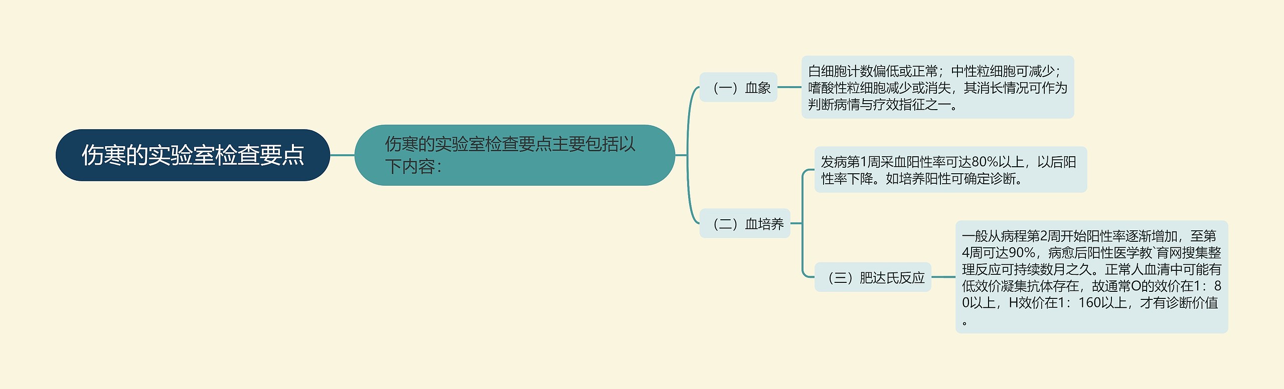 伤寒的实验室检查要点