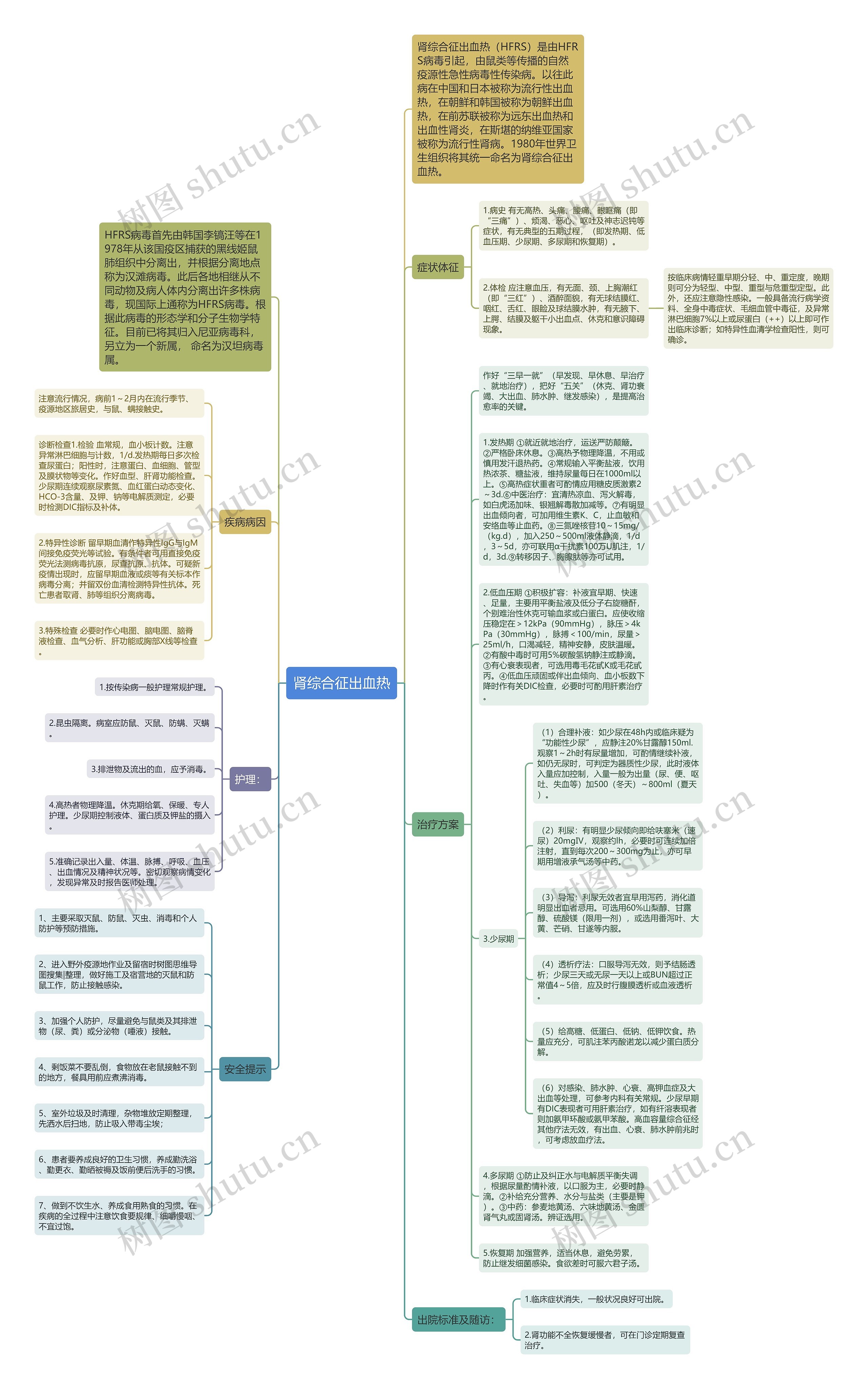 肾综合征出血热思维导图