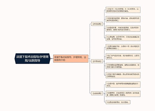 尿道下裂术前指导/护理常规/出院指导