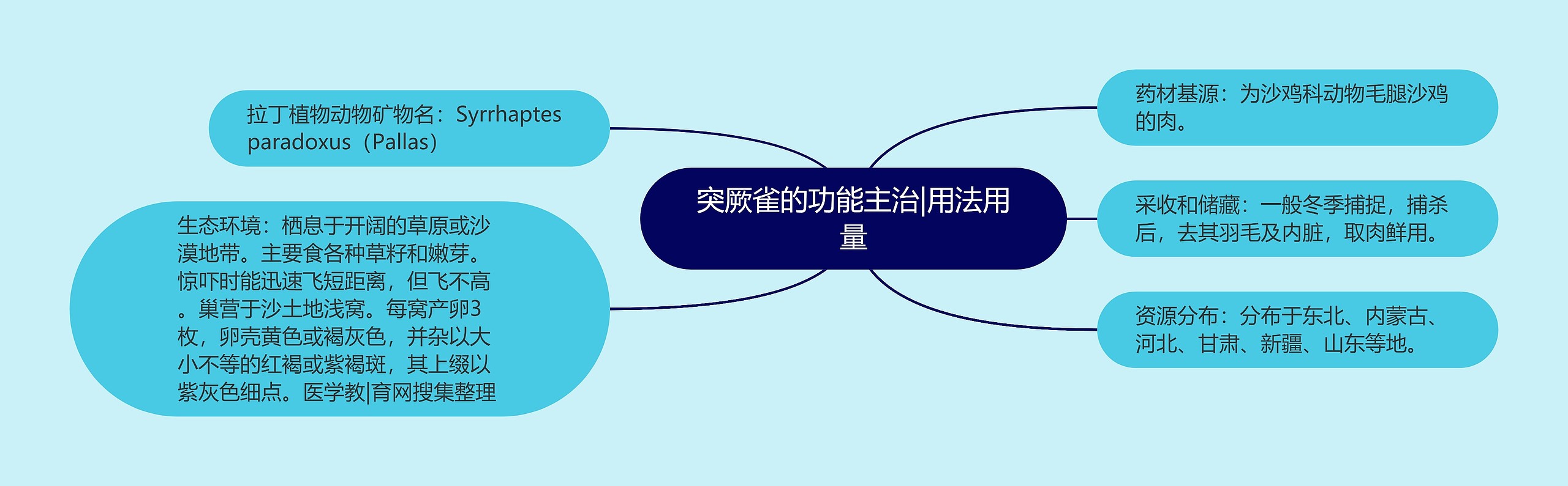 突厥雀的功能主治|用法用量