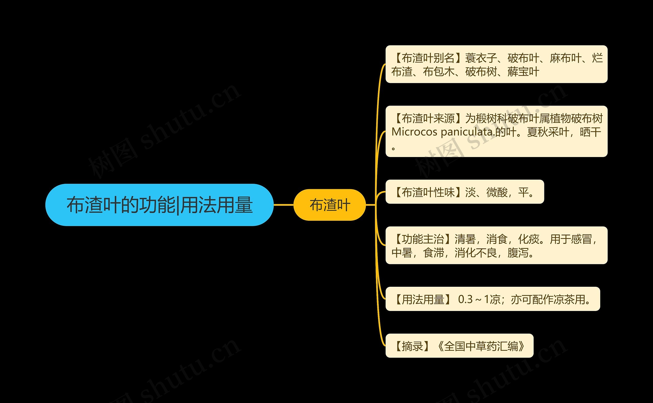 布渣叶的功能|用法用量