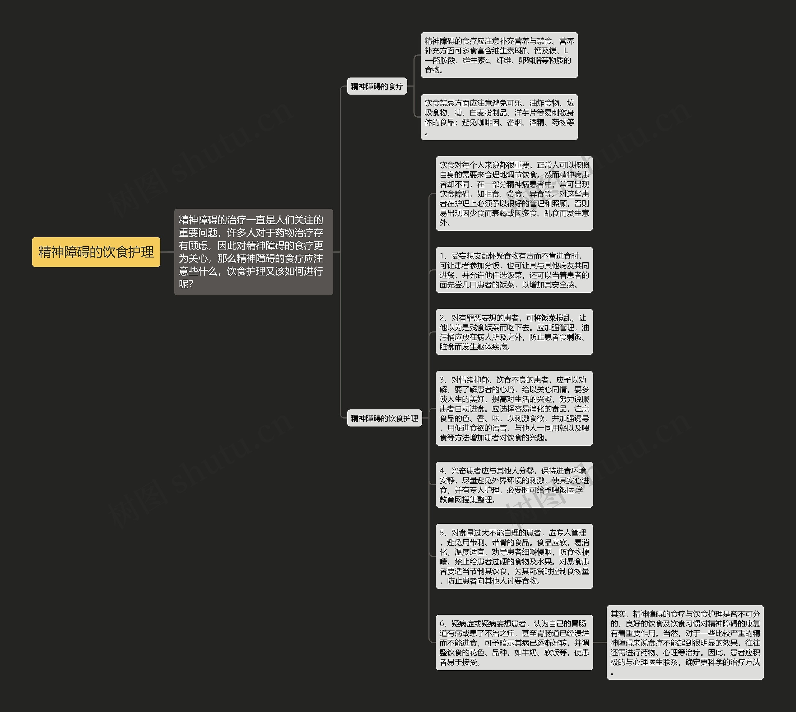精神障碍的饮食护理思维导图