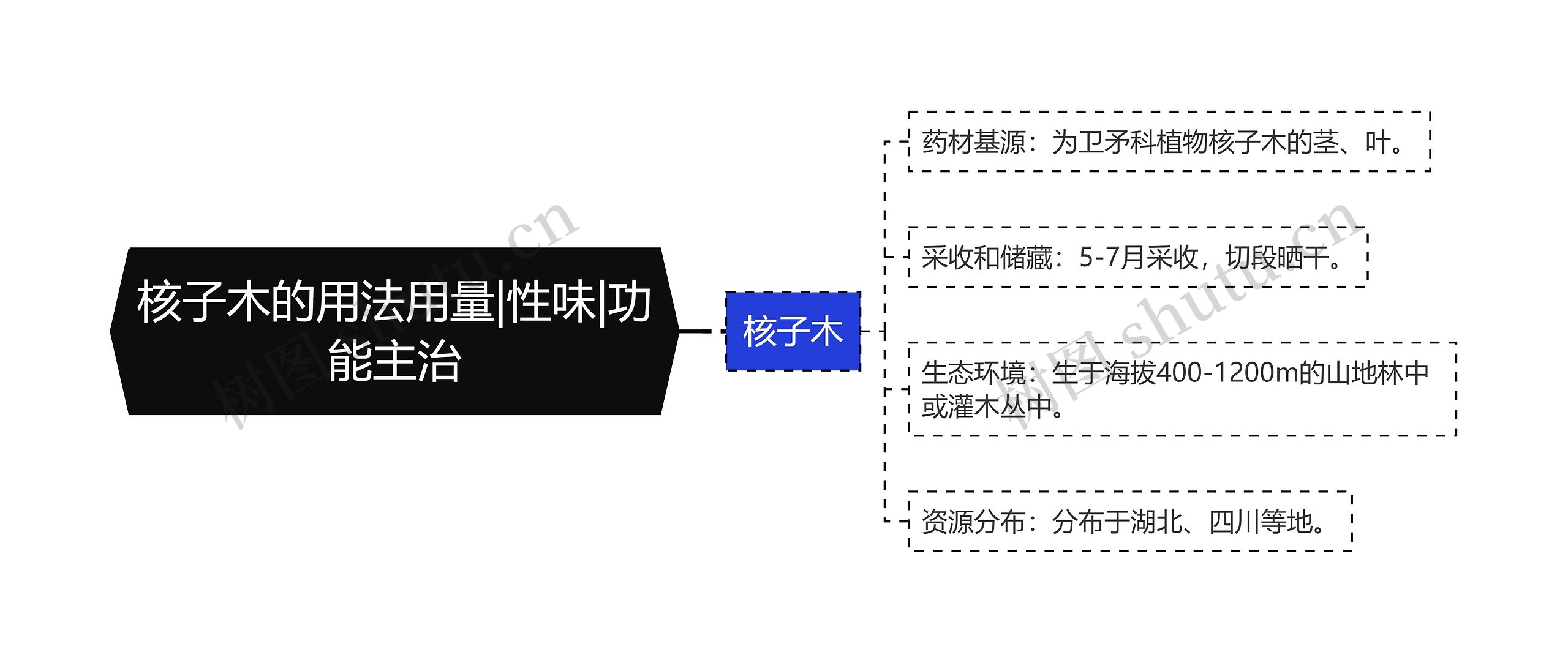 核子木的用法用量|性味|功能主治思维导图