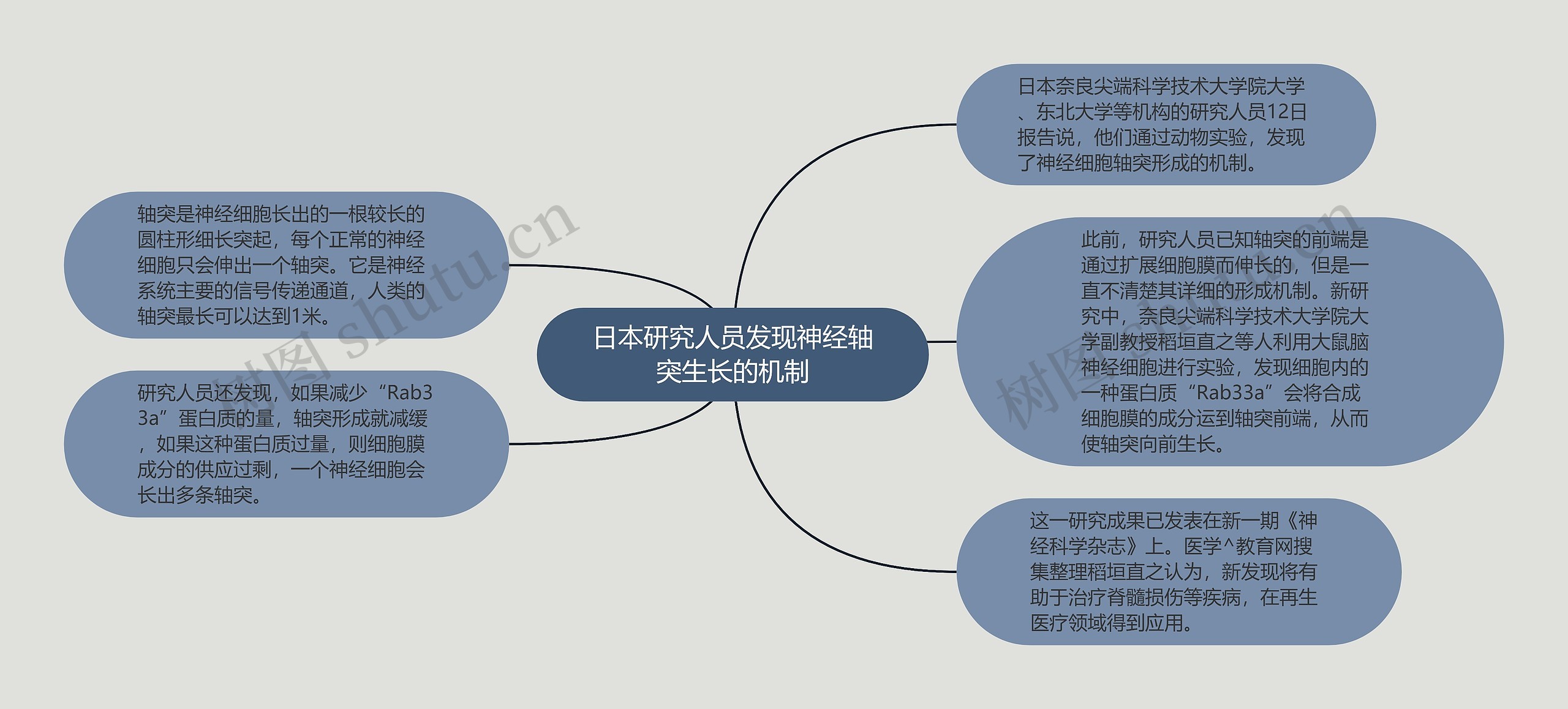 日本研究人员发现神经轴突生长的机制