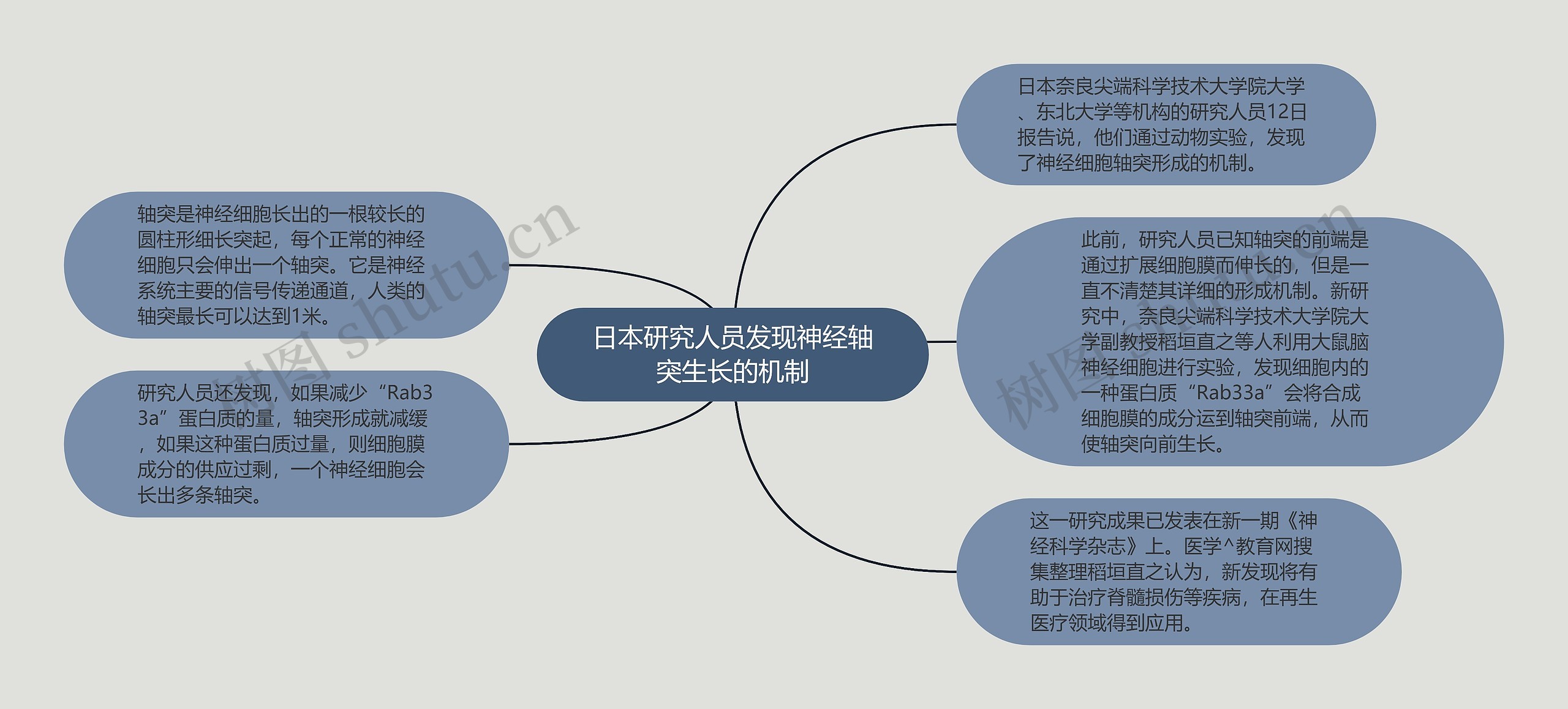 日本研究人员发现神经轴突生长的机制思维导图