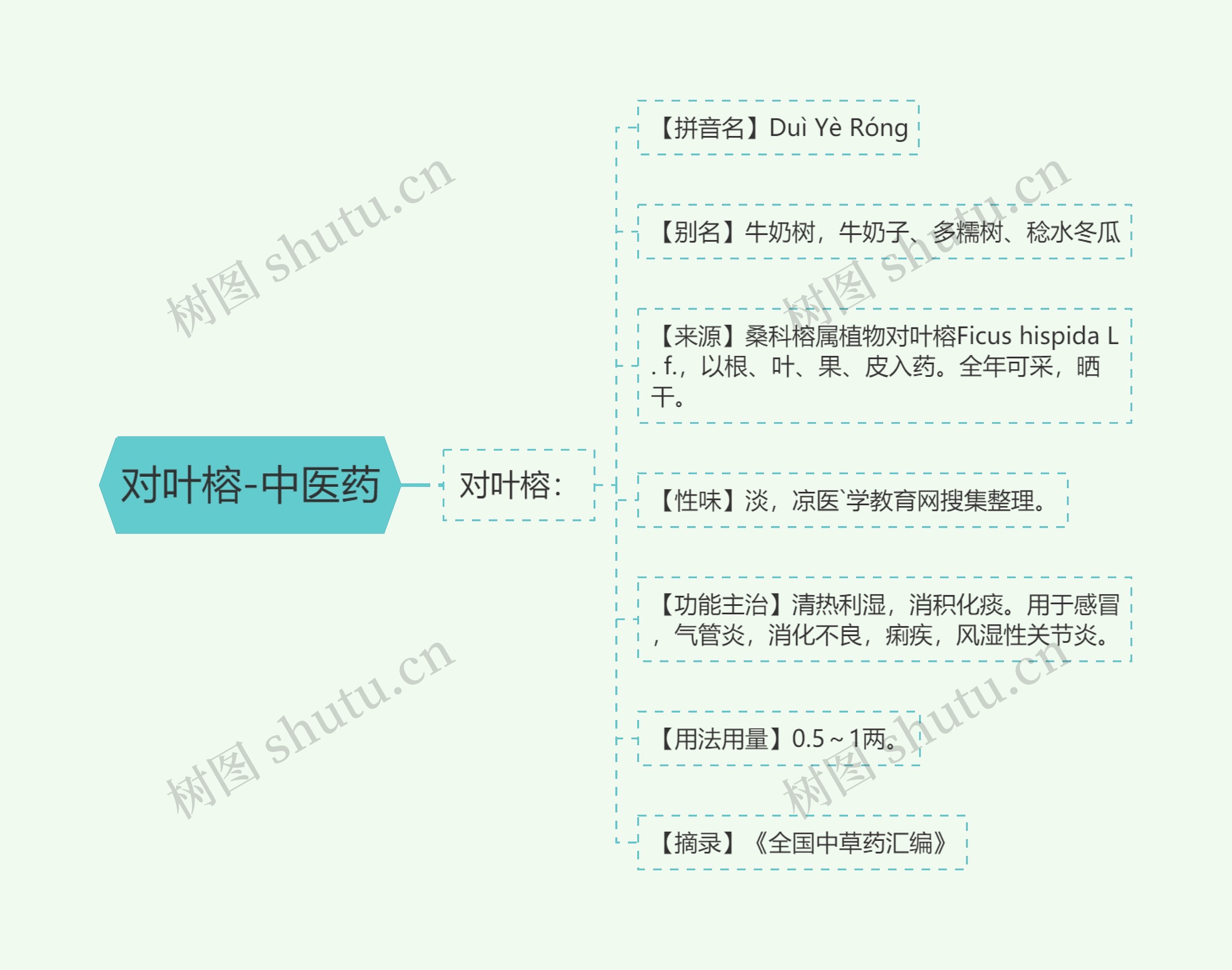 对叶榕-中医药思维导图